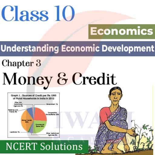 NCERT Solutions for Class 10 Economics Chapter 3 Money and Credit