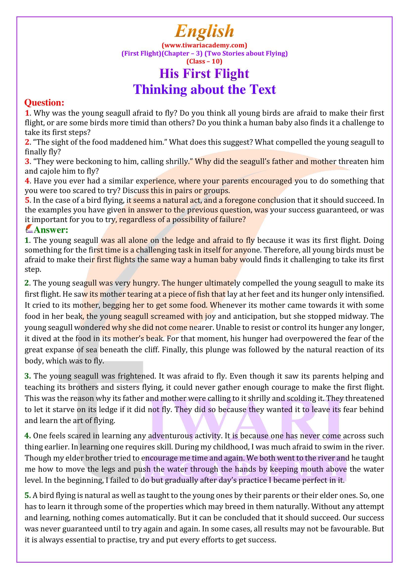 NCERT Solutions for Class 10 English First Flight Chapter 3 Two Stories about Flying