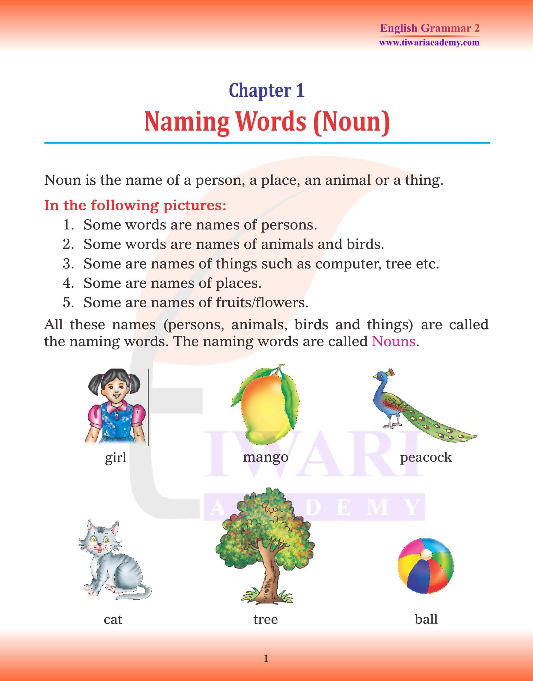 Class 2 English Grammar Chapter 1 Noun