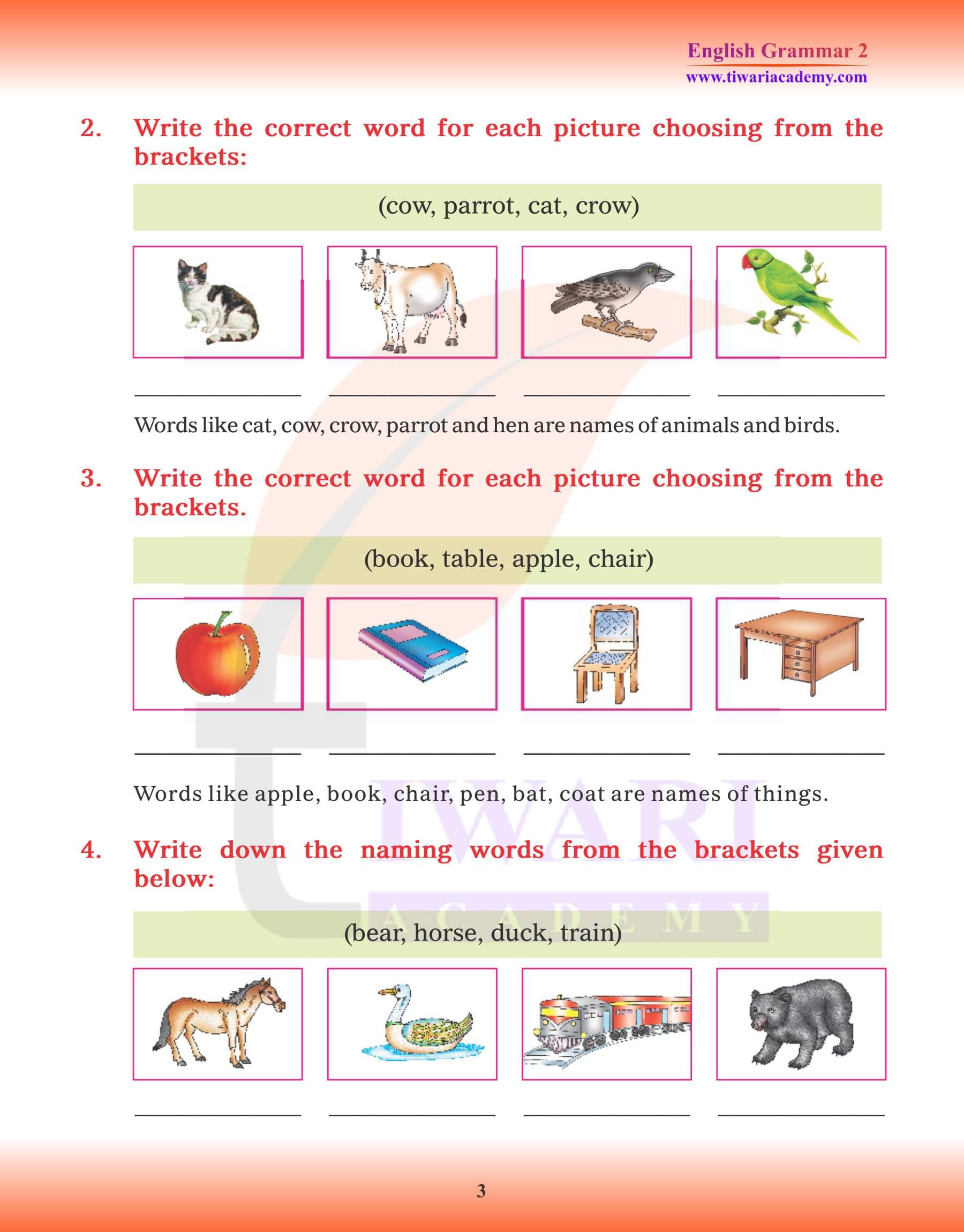 Class 2 English Grammar Noun