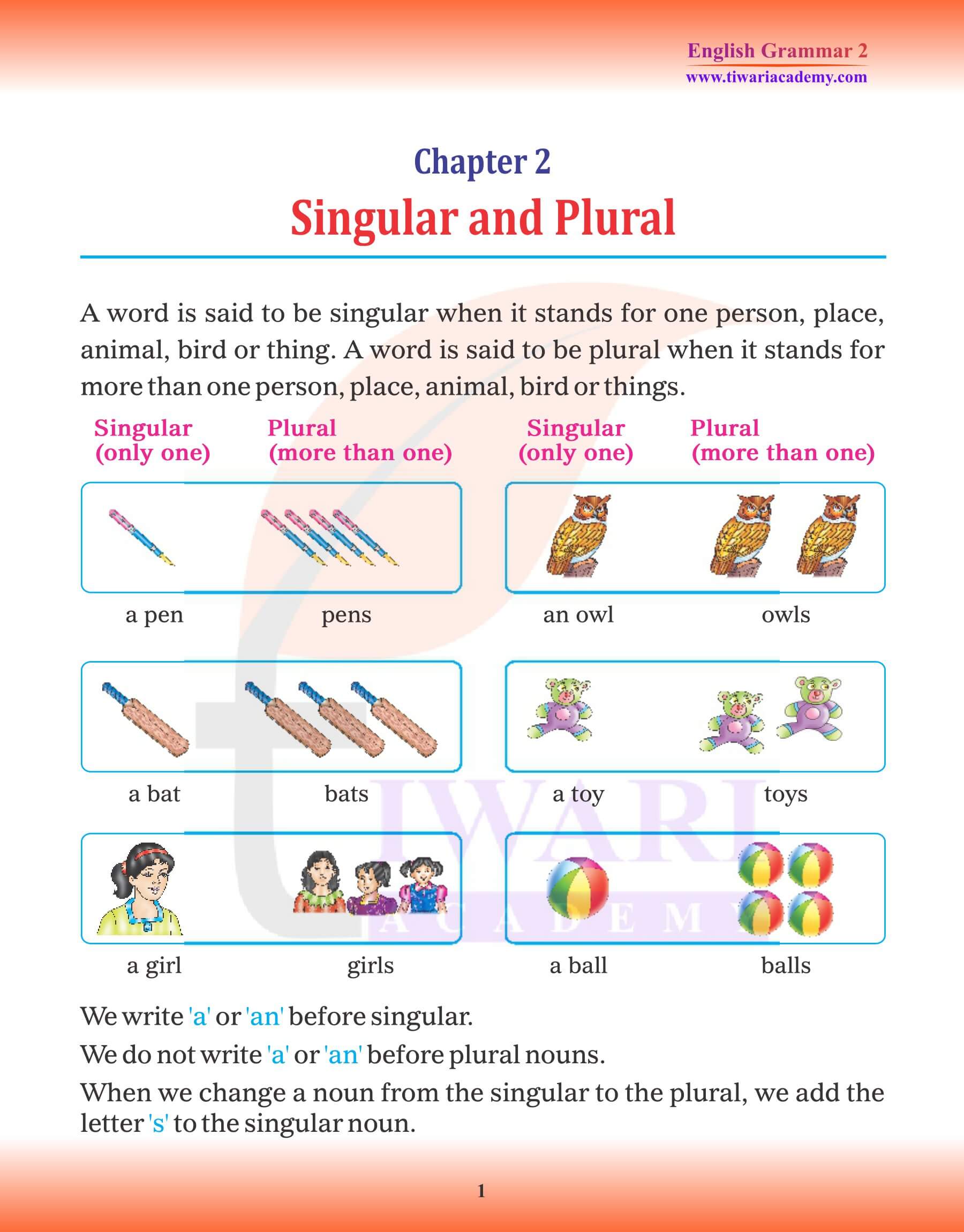 Class 2 English Grammar Chapter 2 Singular and Plural
