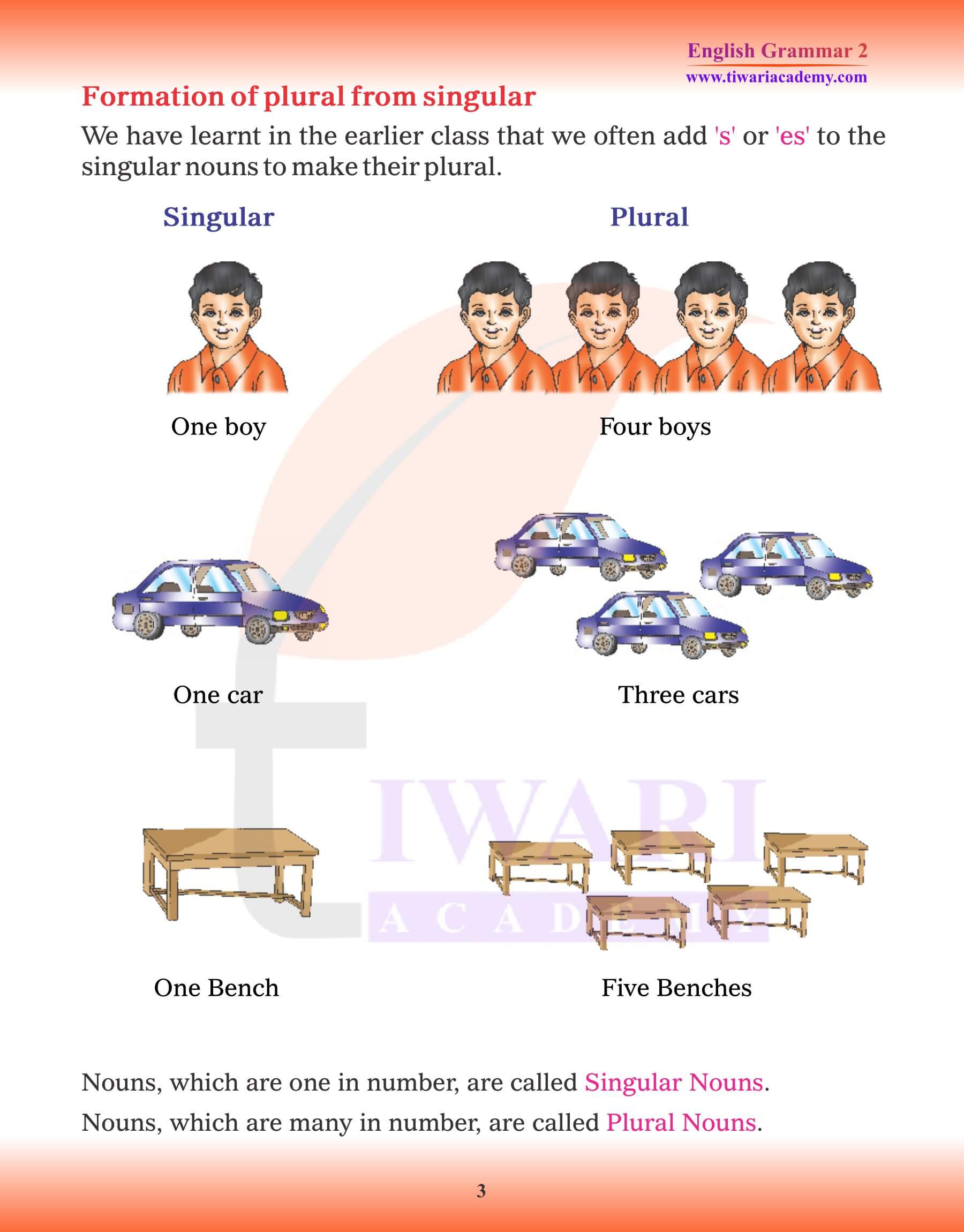 Class 2 English Grammar Singular and Plural Revision