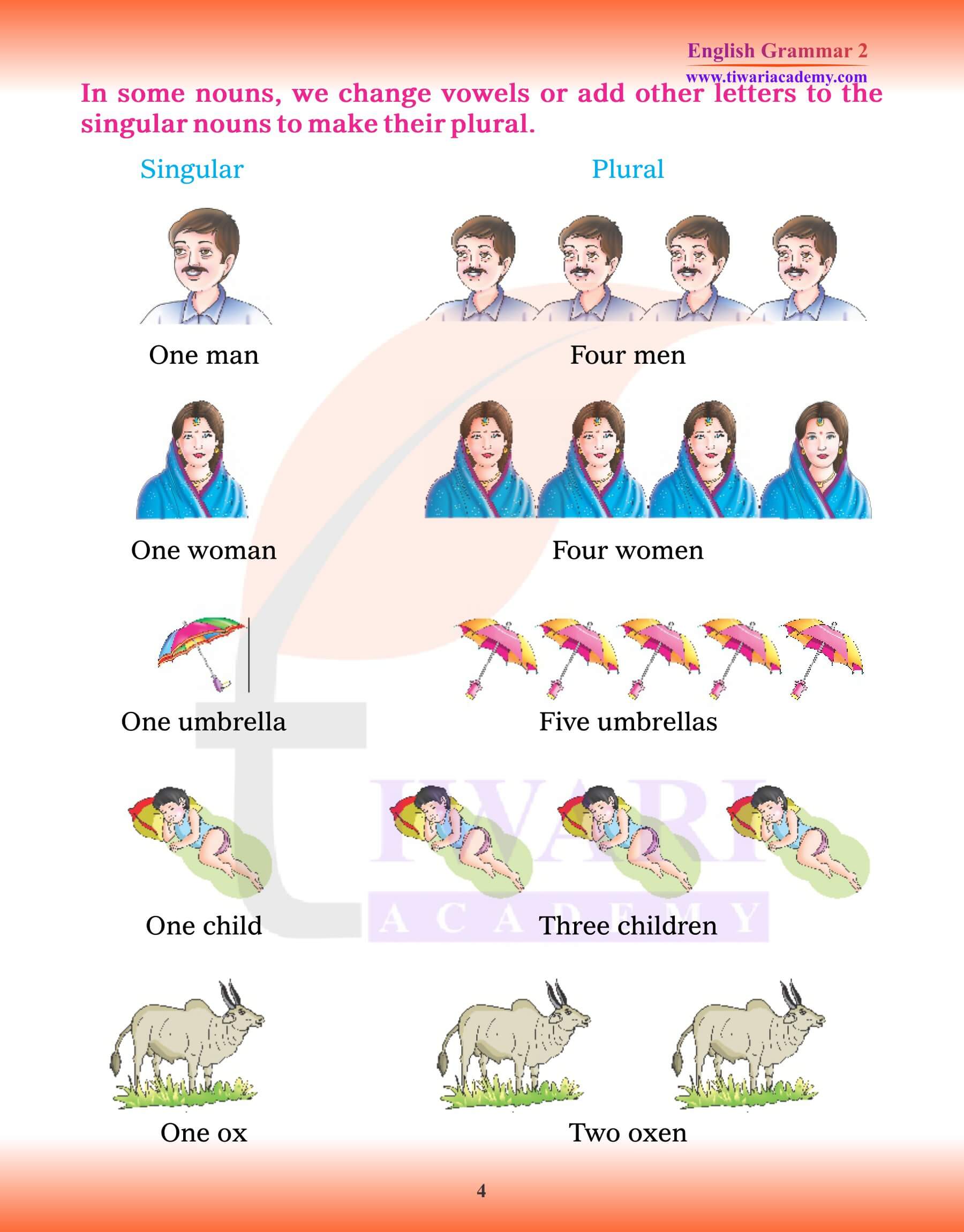 Class 2 English Grammar Singular and Plural exercises