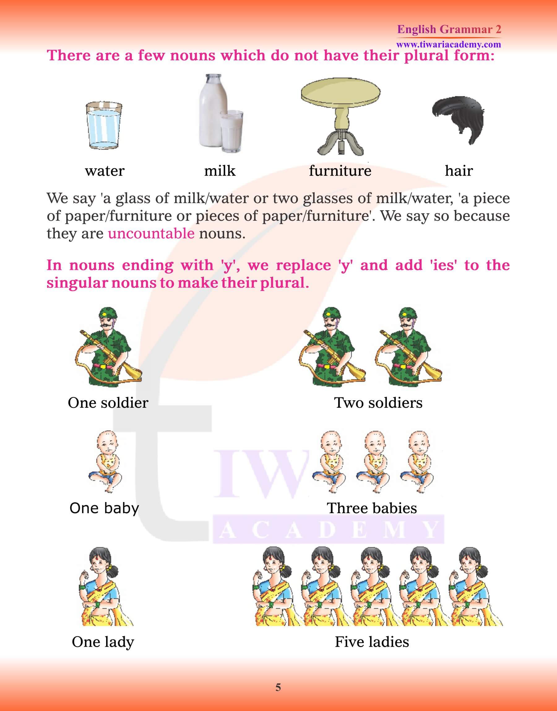 Class 2 English Grammar Singular and Plural practice