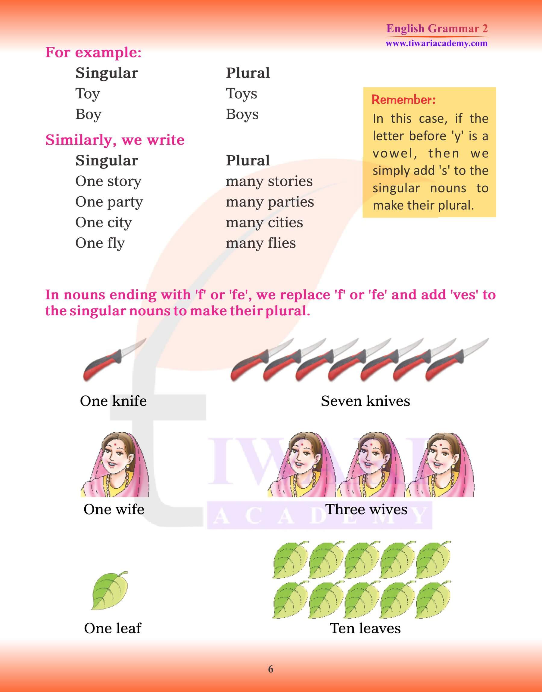 Class 2 English Grammar Singular and Plural test