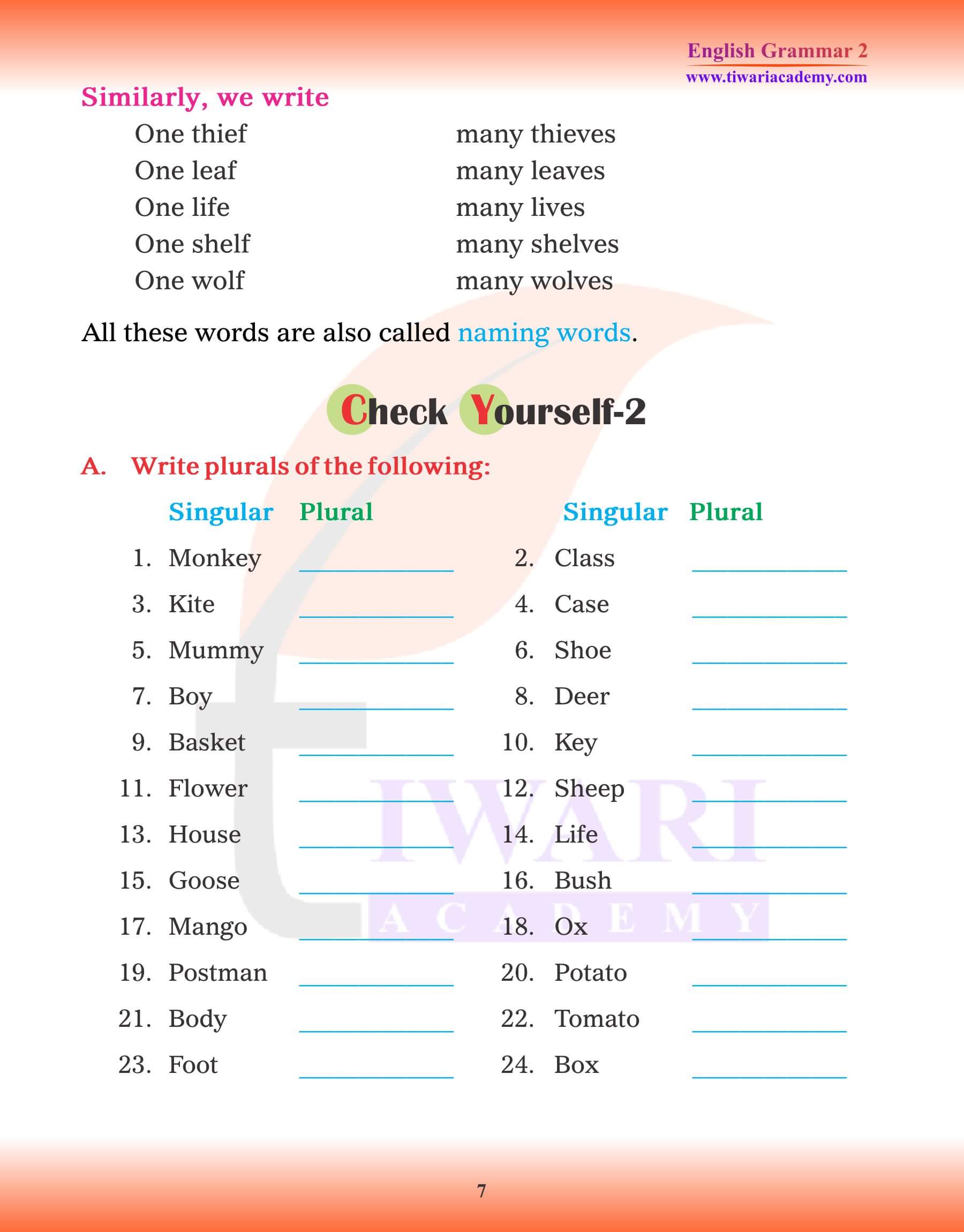 Class 2 English Grammar Singular and Plural worksheets
