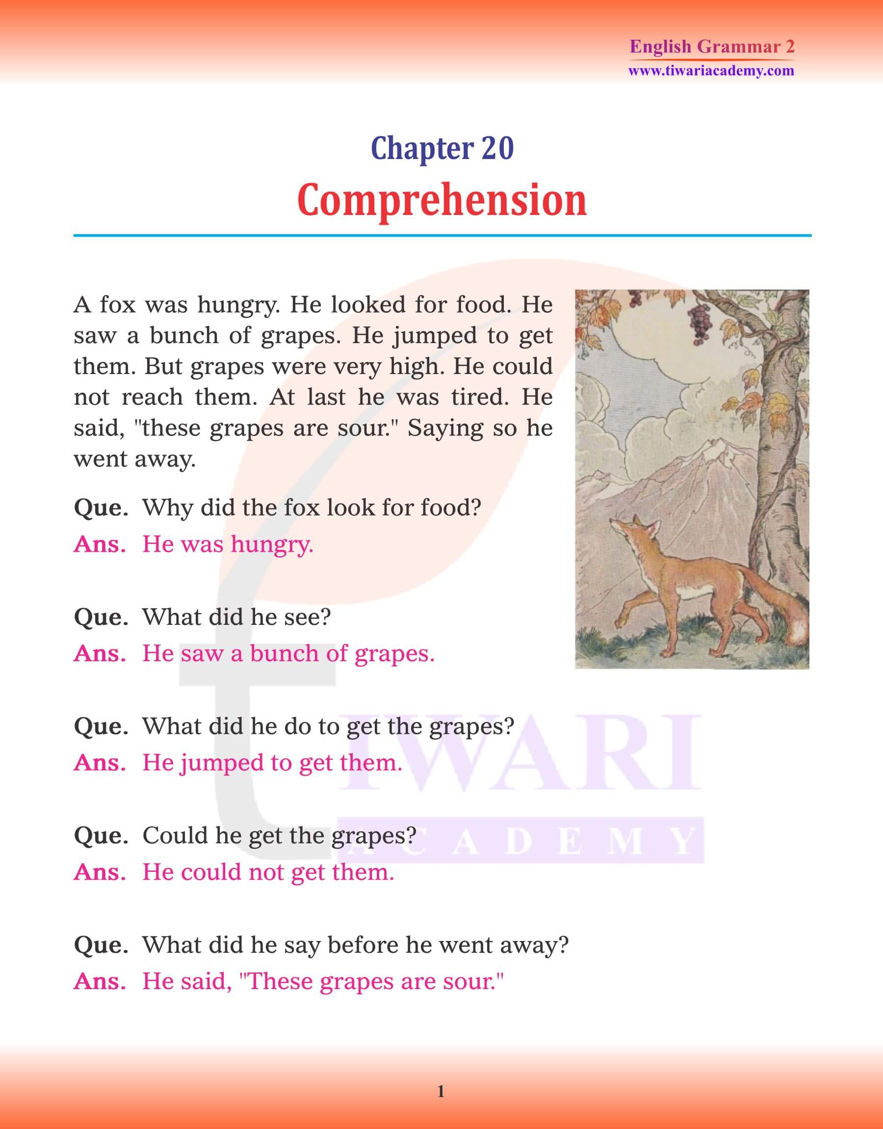 Class 2 English Grammar Chapter 20 Comprehension