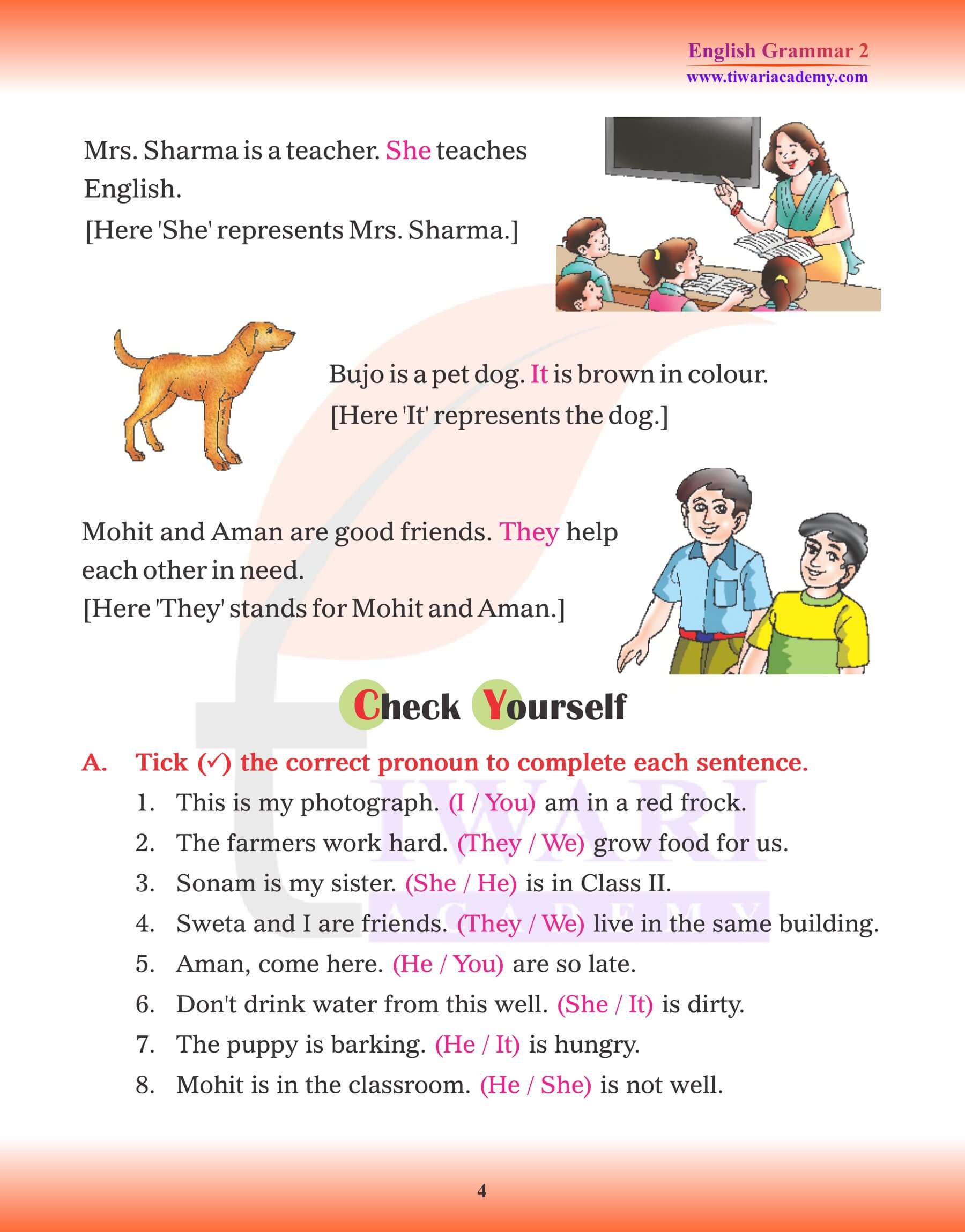 Class 2 English Grammar use of Pronoun