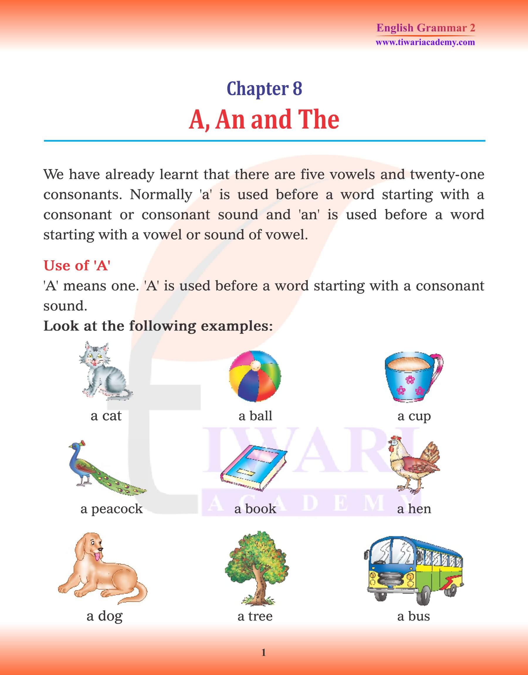 Class 2 English Grammar Chapter 8 Articles
