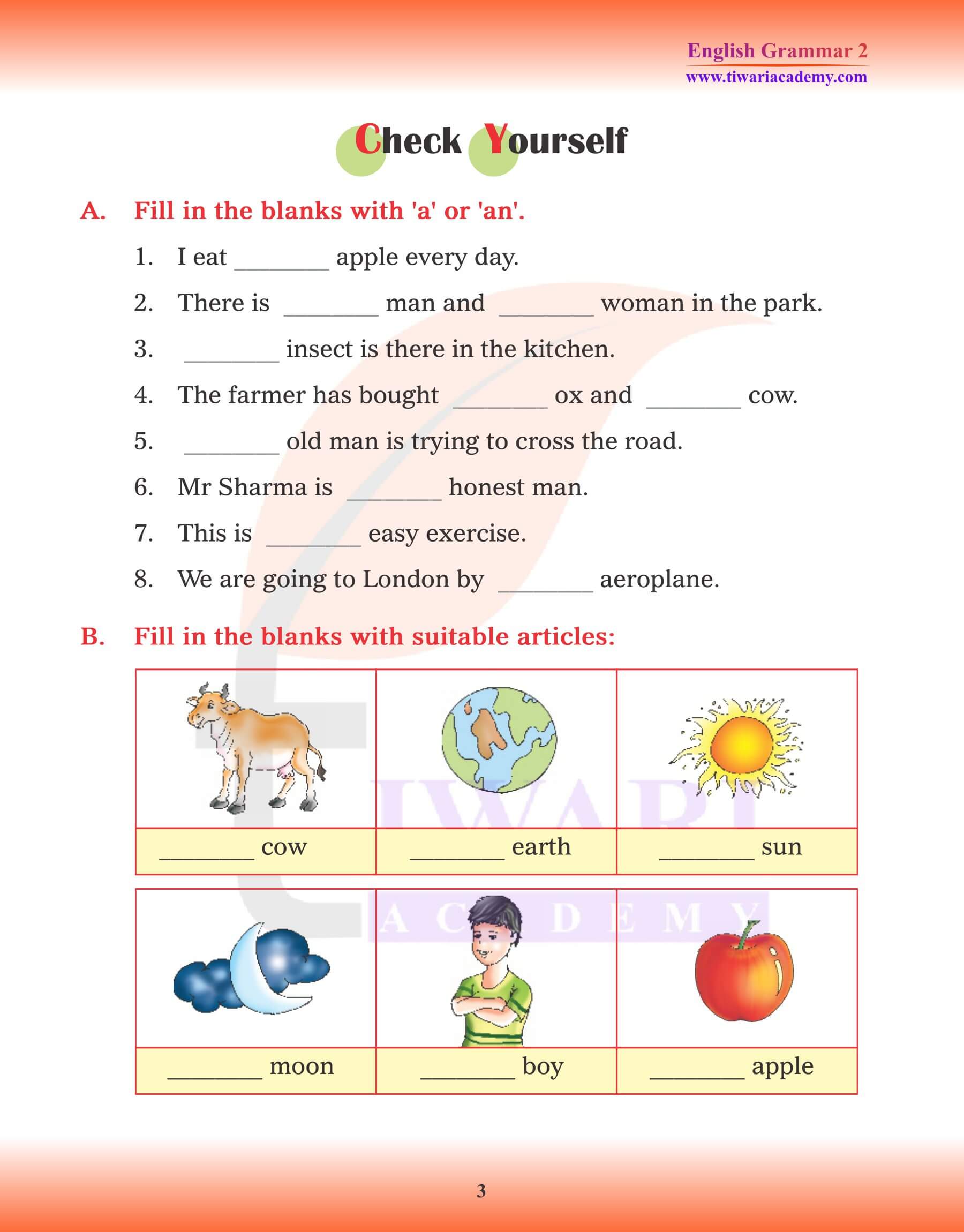 Class 2 English Grammar Chapter 8 Articles Assignments