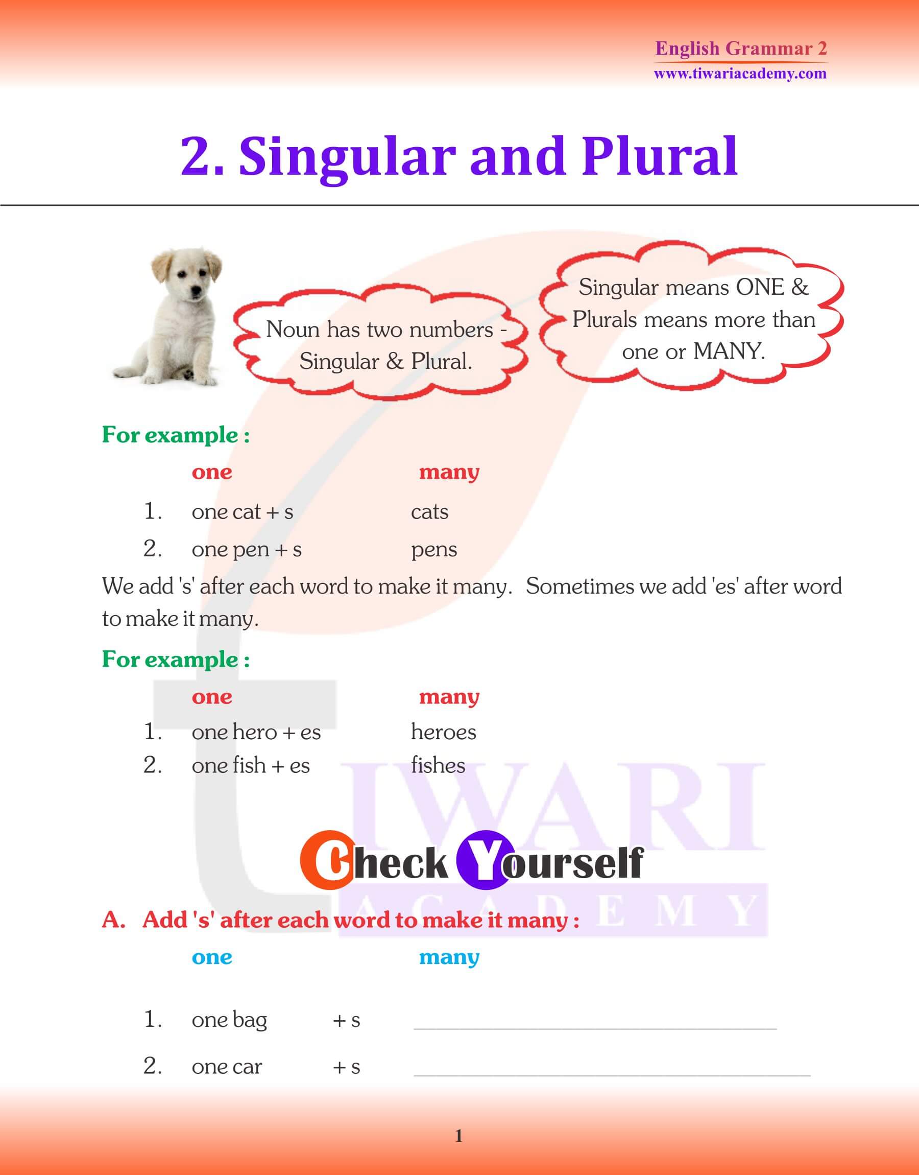 Class 2 English Grammar Chapter 2 notes