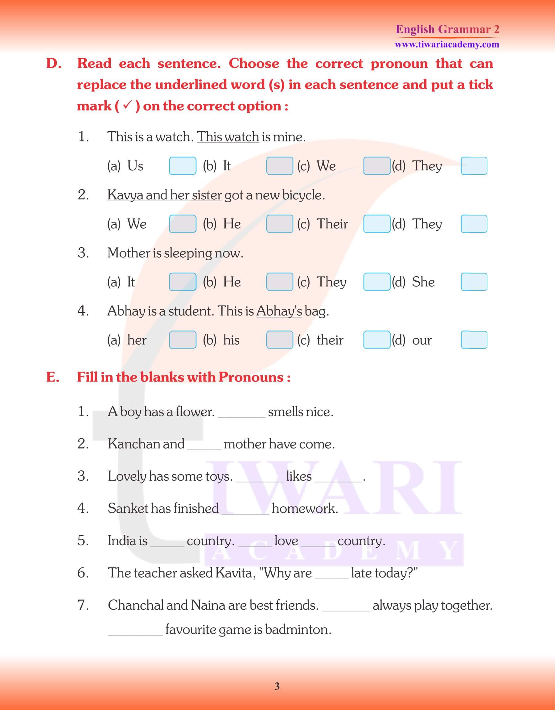 Class 2 English Grammar Chapter 6 Pronoun Worksheets