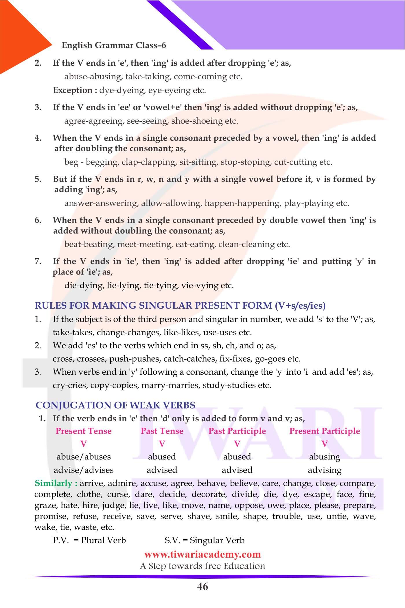 Class 6 English Grammar Verbs and their Forms