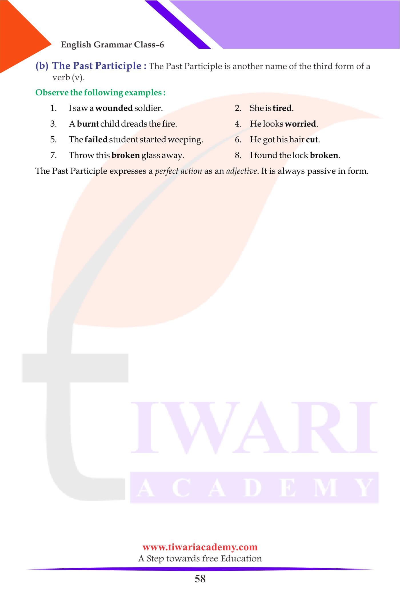 Class 6 English Grammar Non-finite Forms