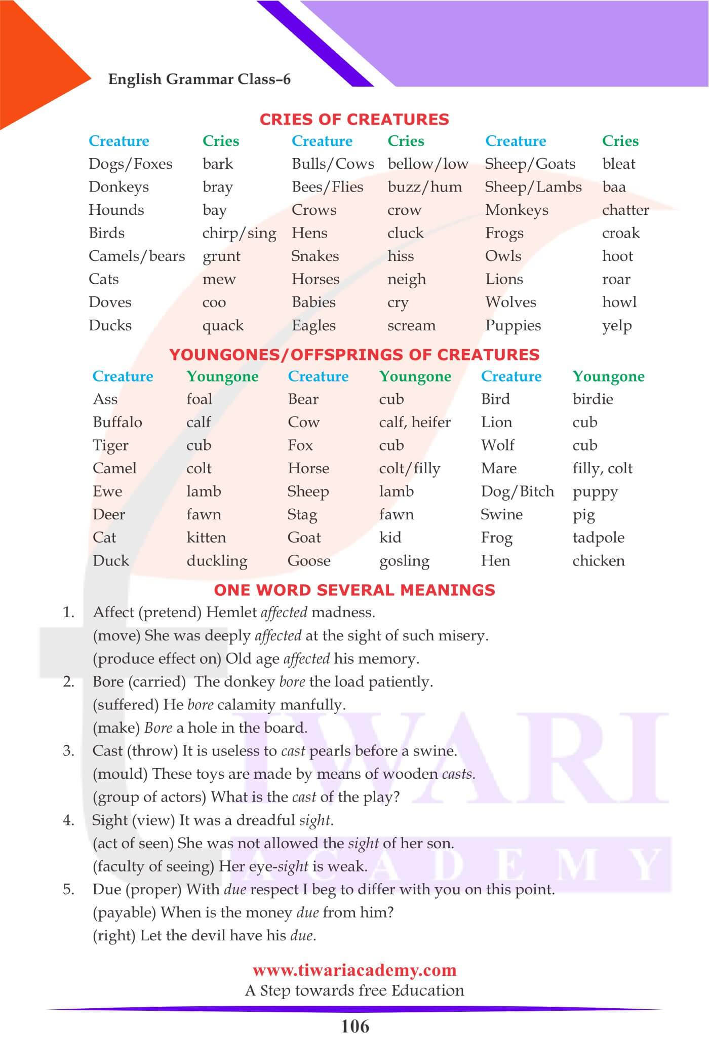 Class 6 English Grammar and Word Power