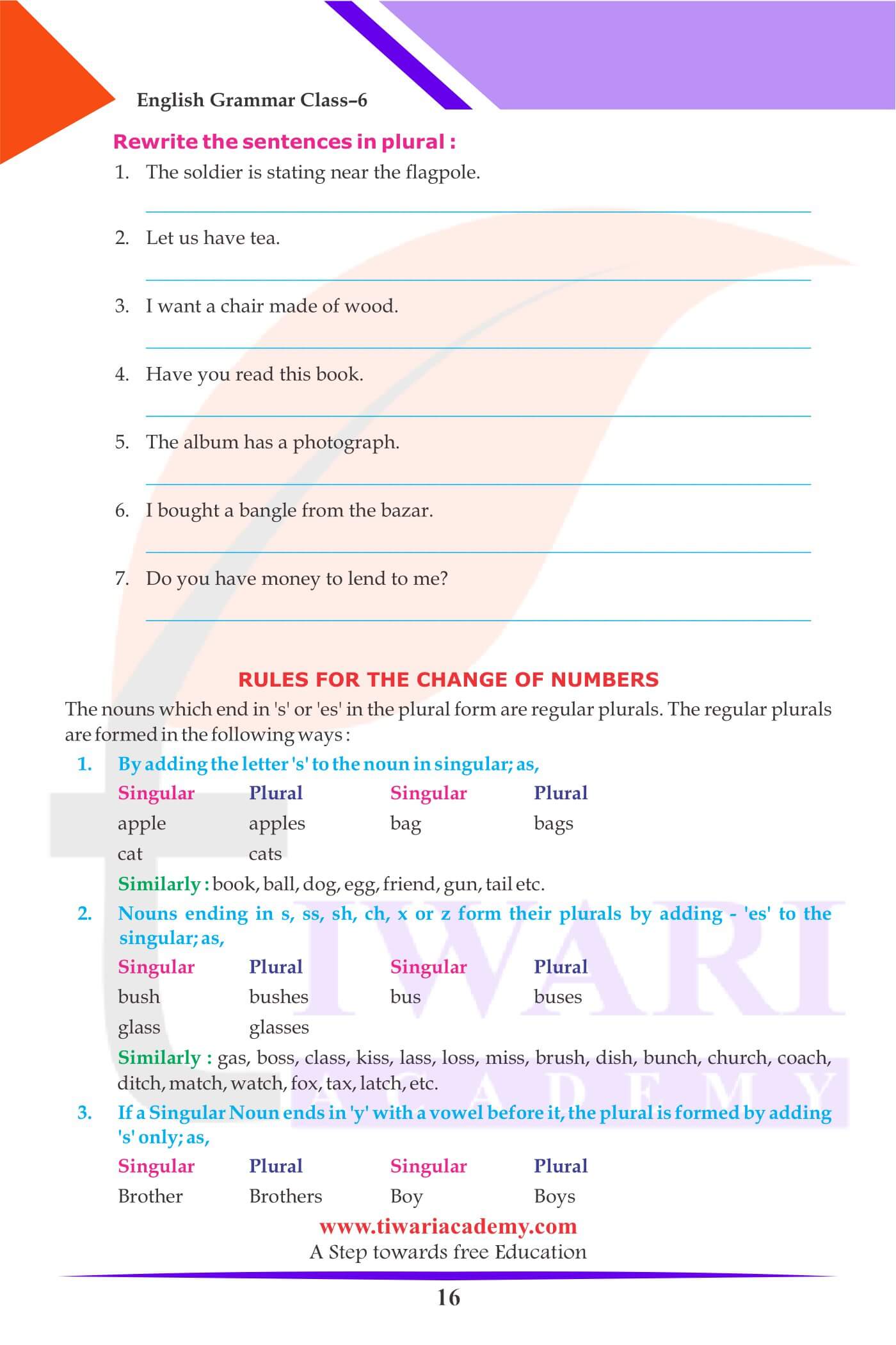 Class 6 English Grammar The Noun Numbers