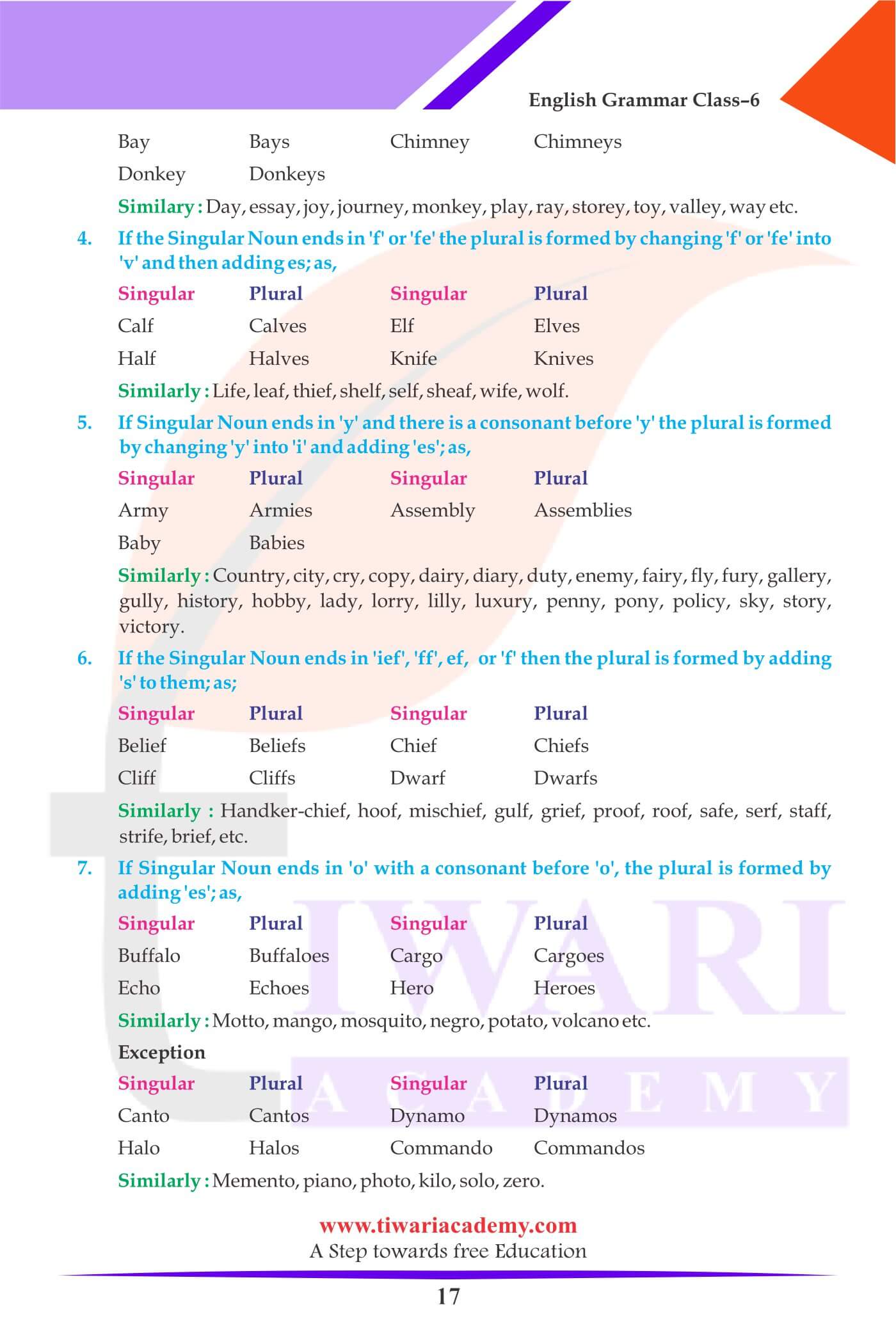 Class 6 Grammar The Noun Numbers