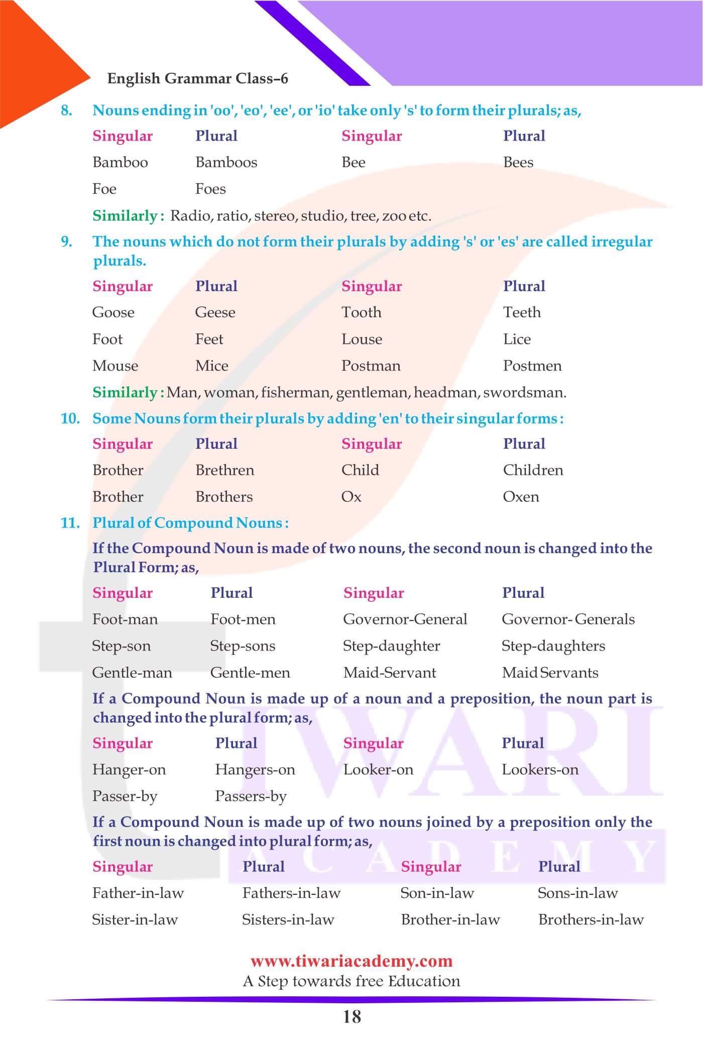 Class 6 Grammar The Noun Numbers Examples