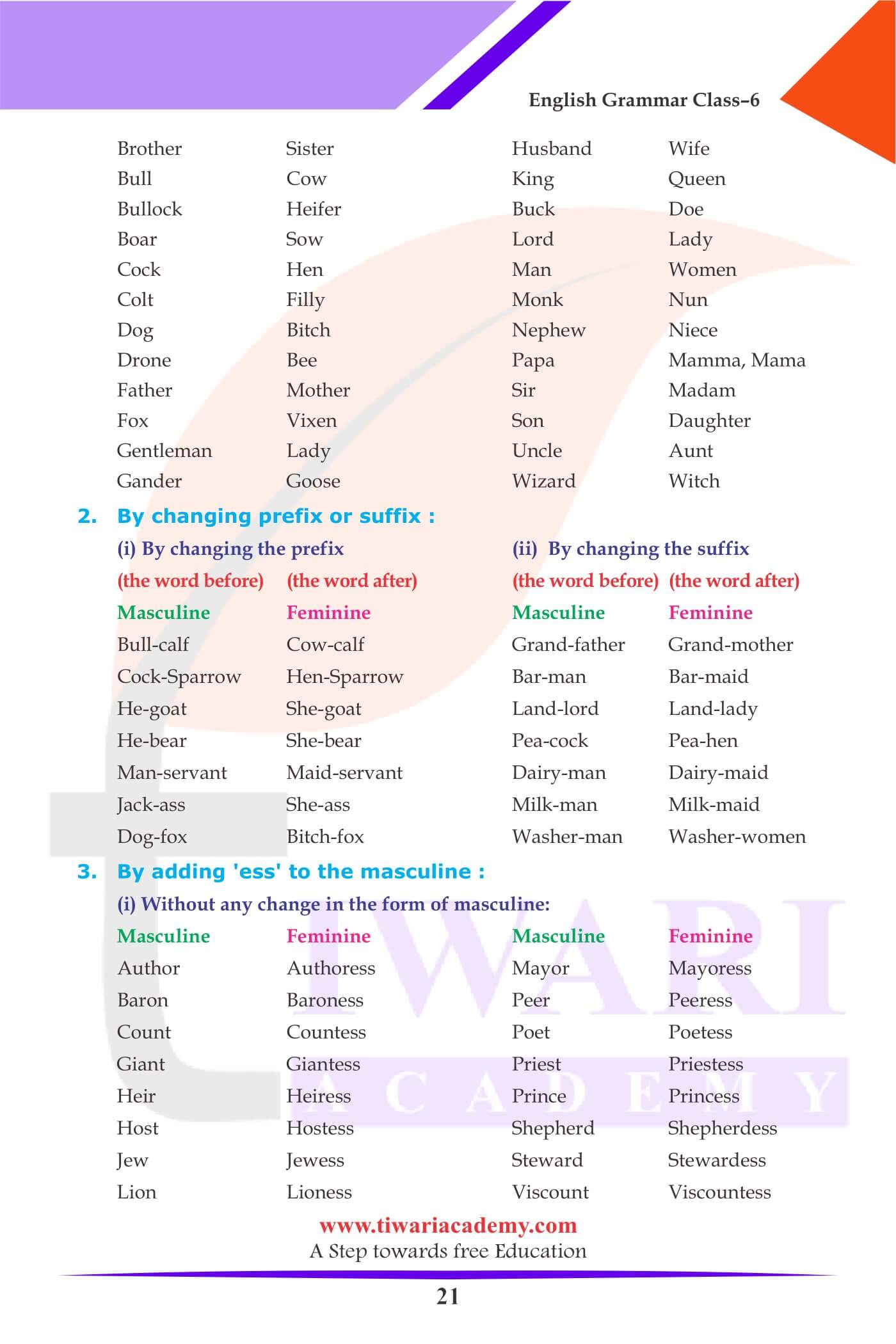 Class 6 English Grammar Noun Genders