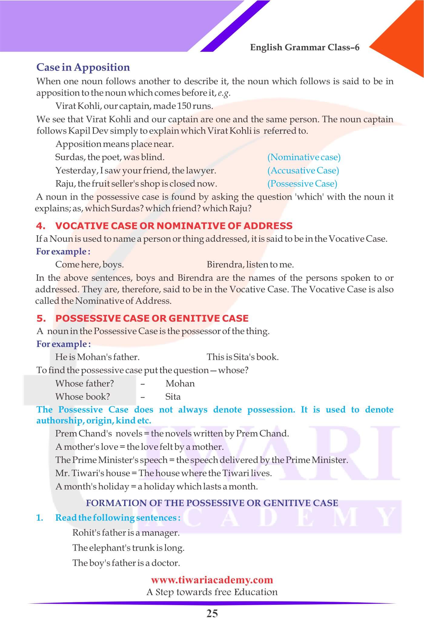 Class 6 Grammar The Noun Case