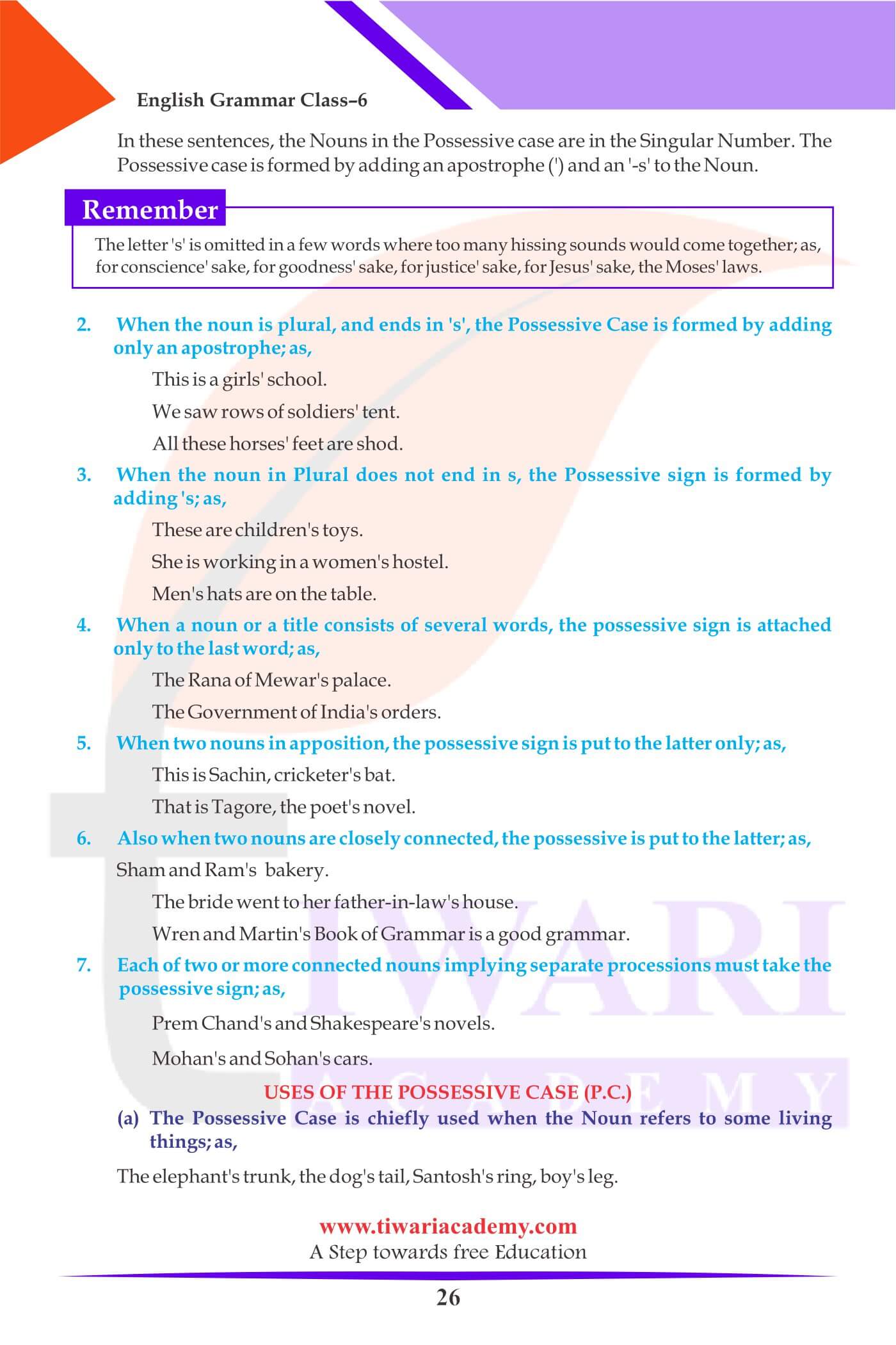 Class 6 Grammar The Noun Case Exercises