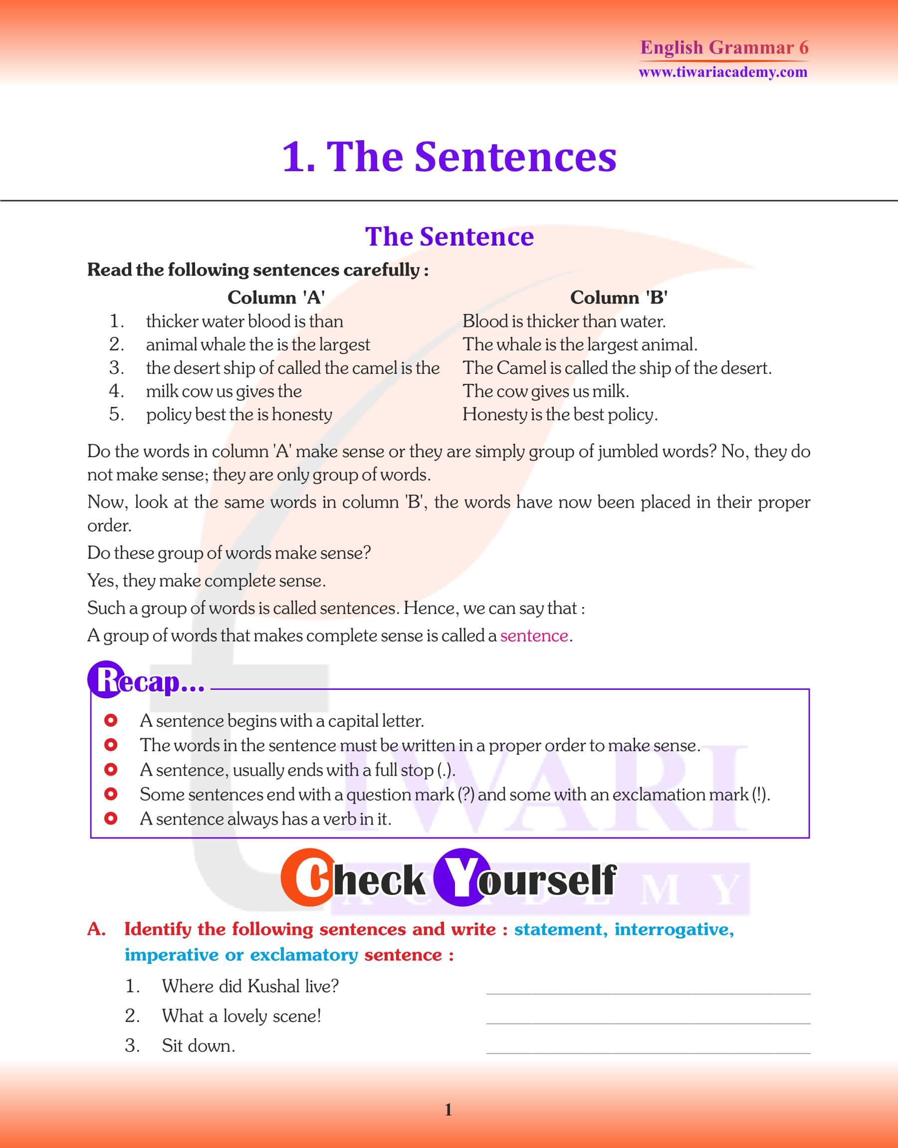 new grammar trek class 6 solutions