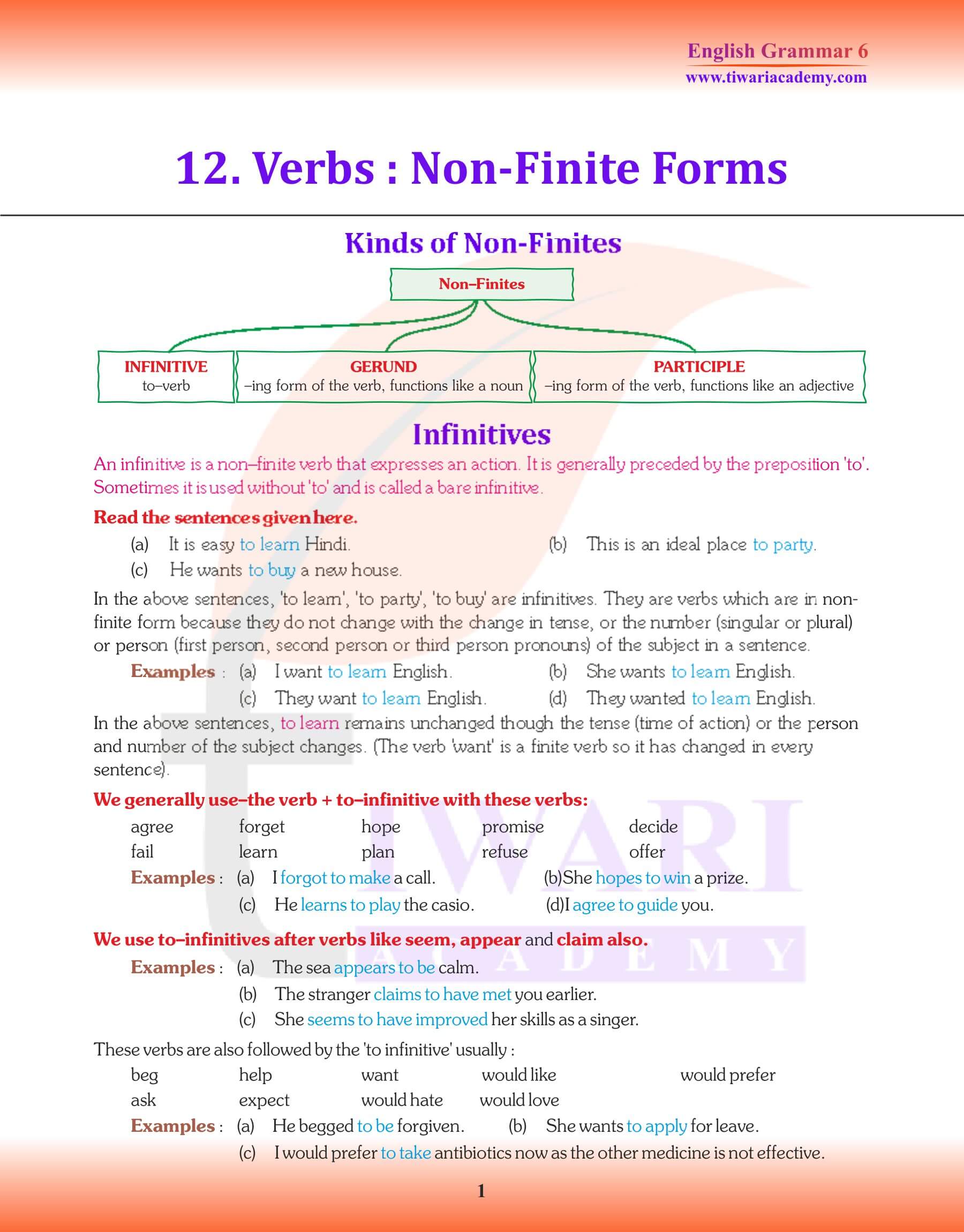 Class 6 English Grammar Infinitives