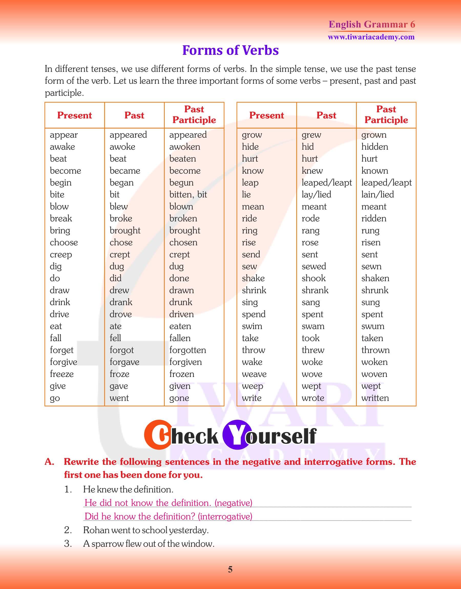 Class 6 Grammar Perfect Tense Exercises