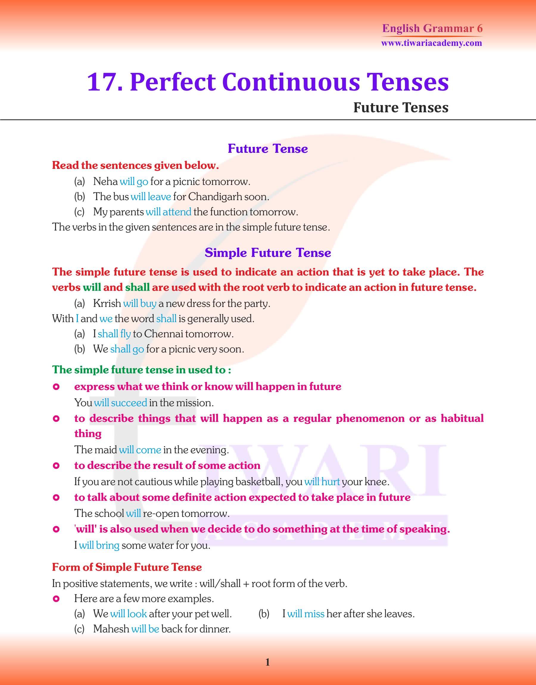 Class 6 English Grammar Perfect Continuous Tense