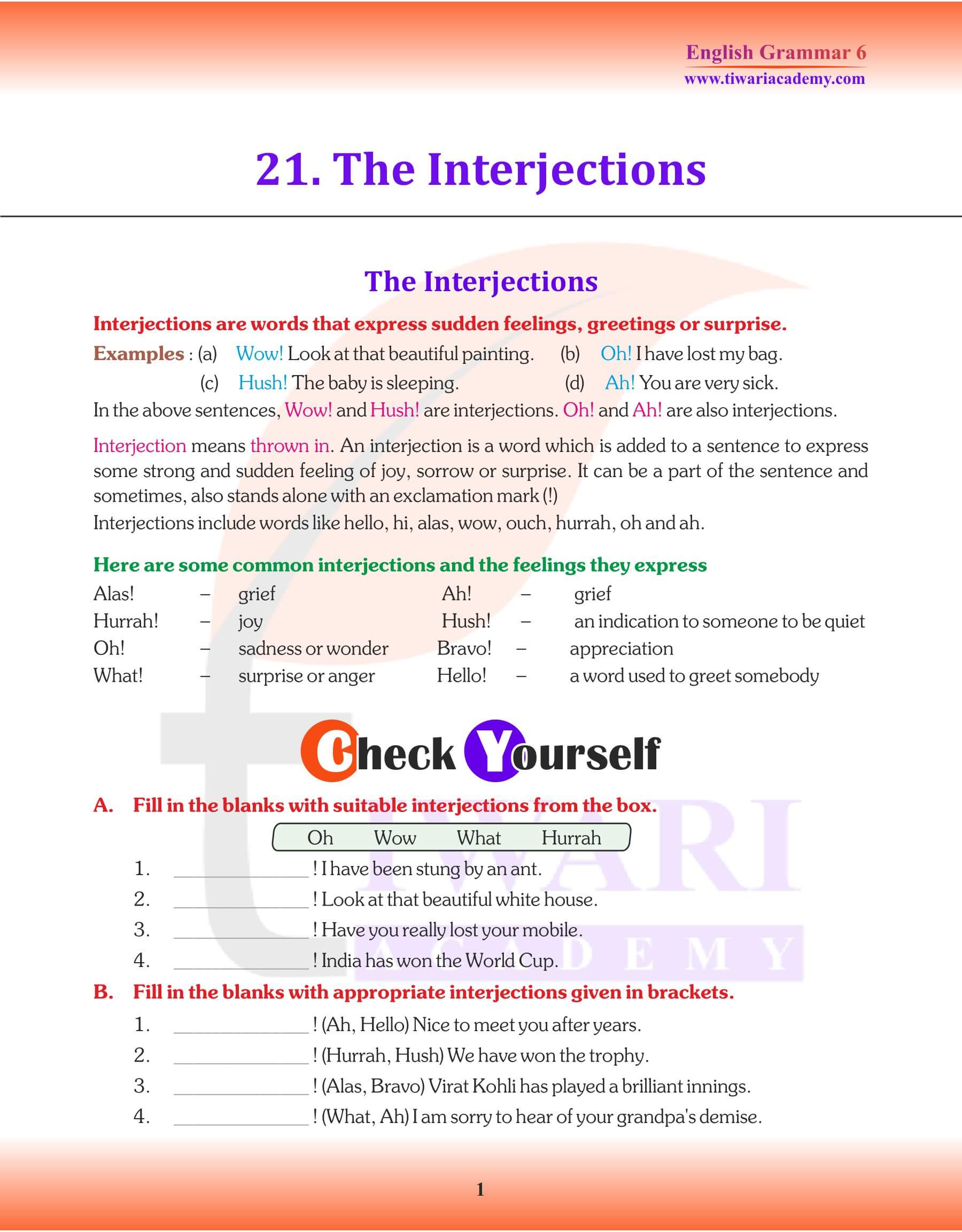 Class 6 English Grammar Interjection
