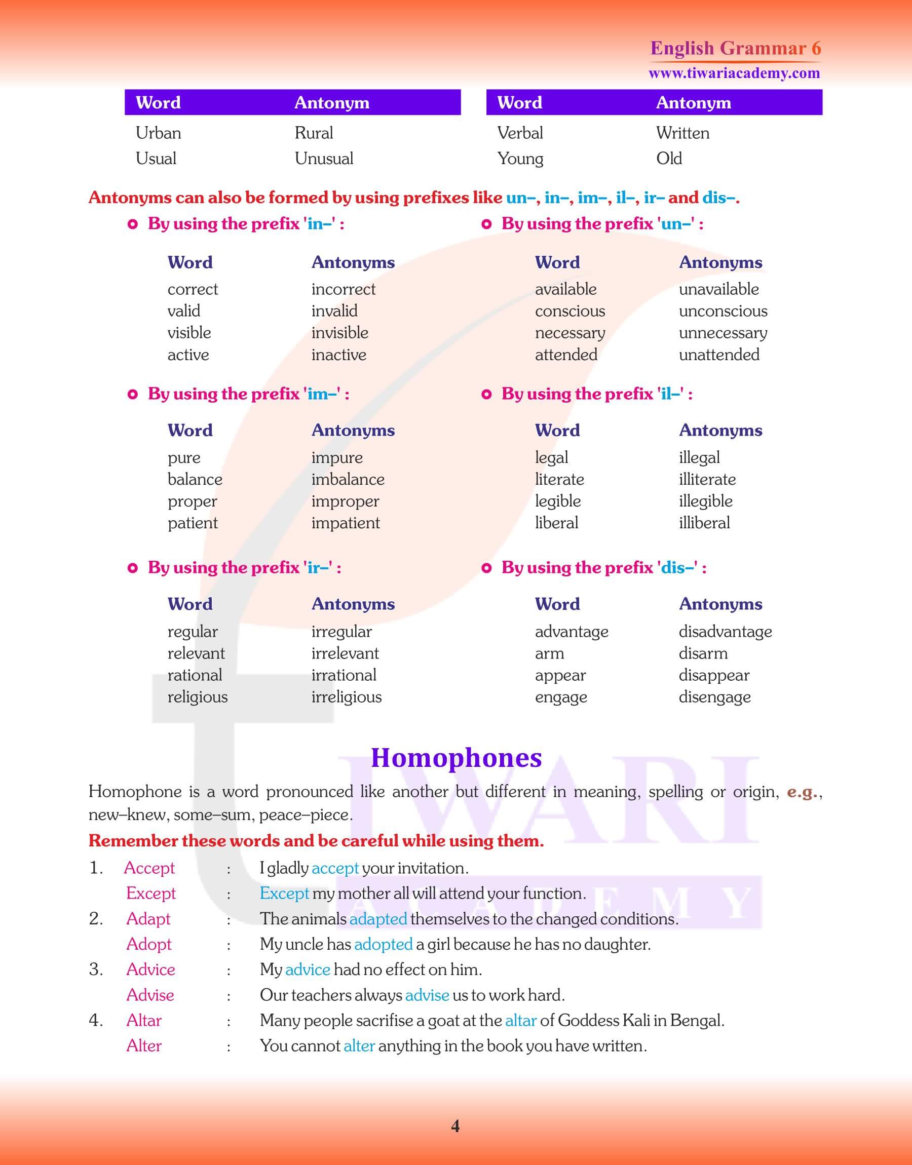 Class 6th English Grammar Vocabulary and Word Power Exercises