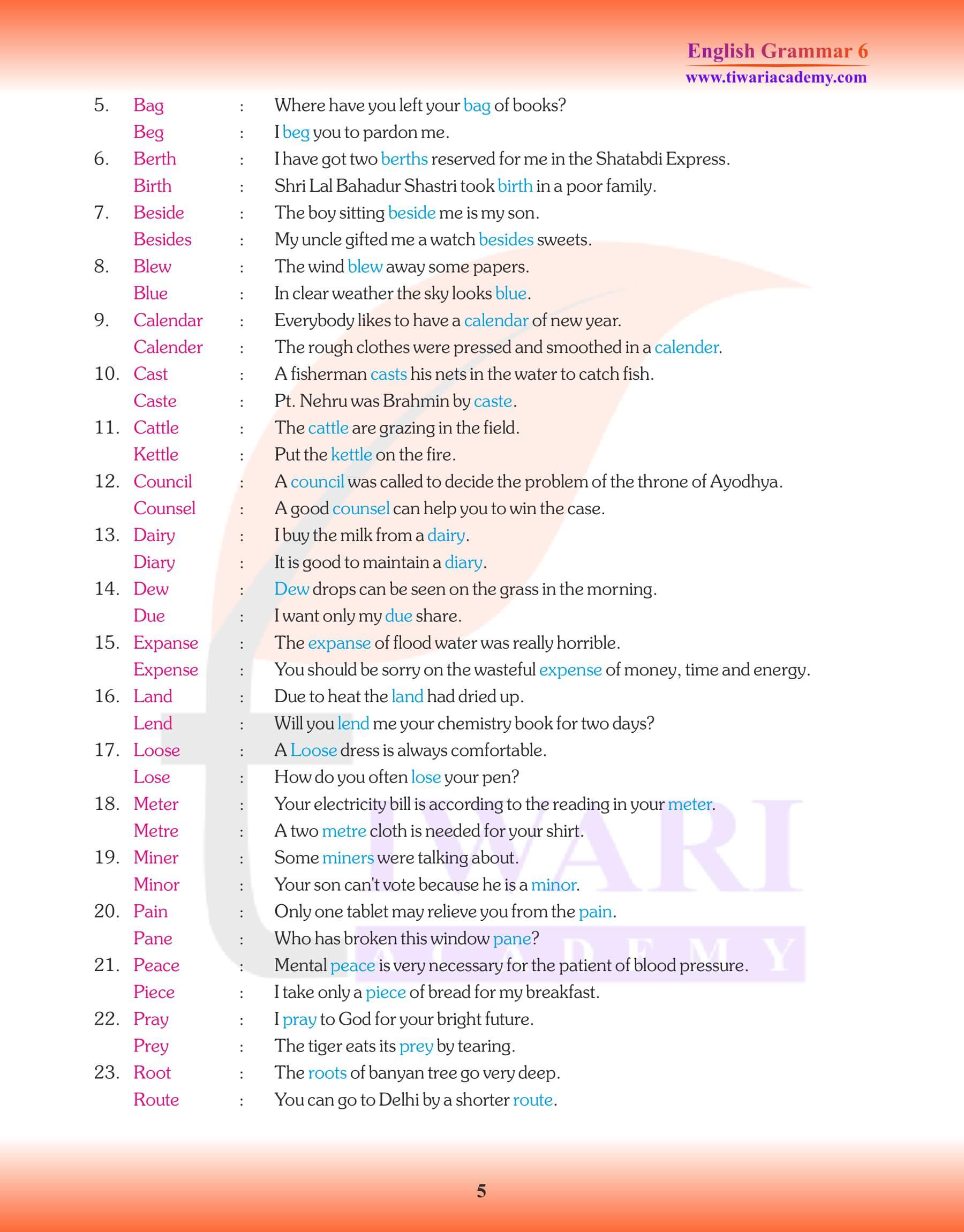 Class 6th English Grammar Vocabulary and Word Power Practice