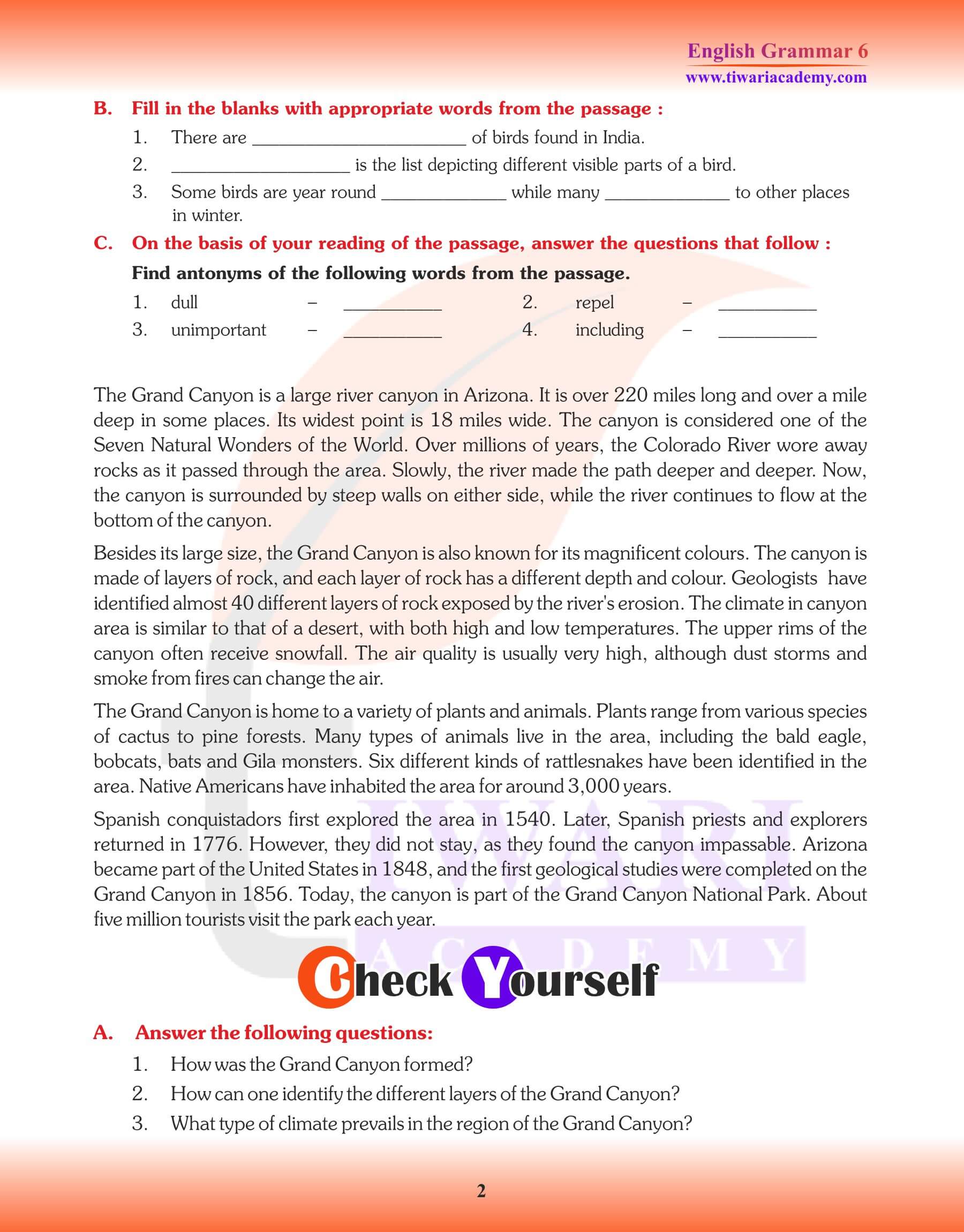 Class 6 Grammar Unseen Passage Comprehension Exercises