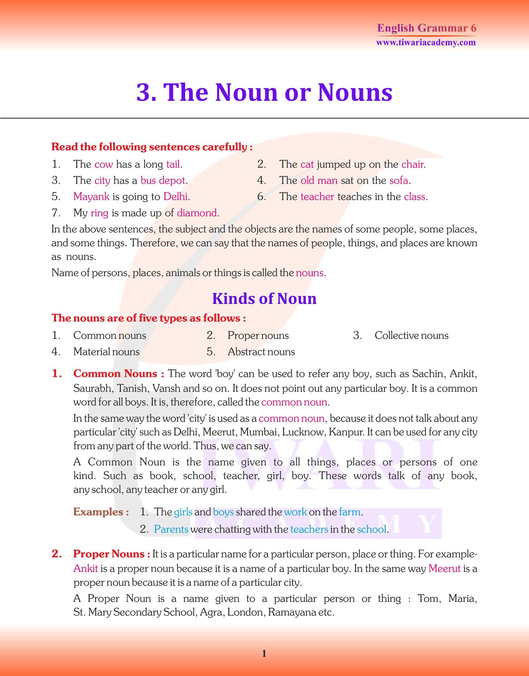 Class 6 Grammar Revision Book Noun