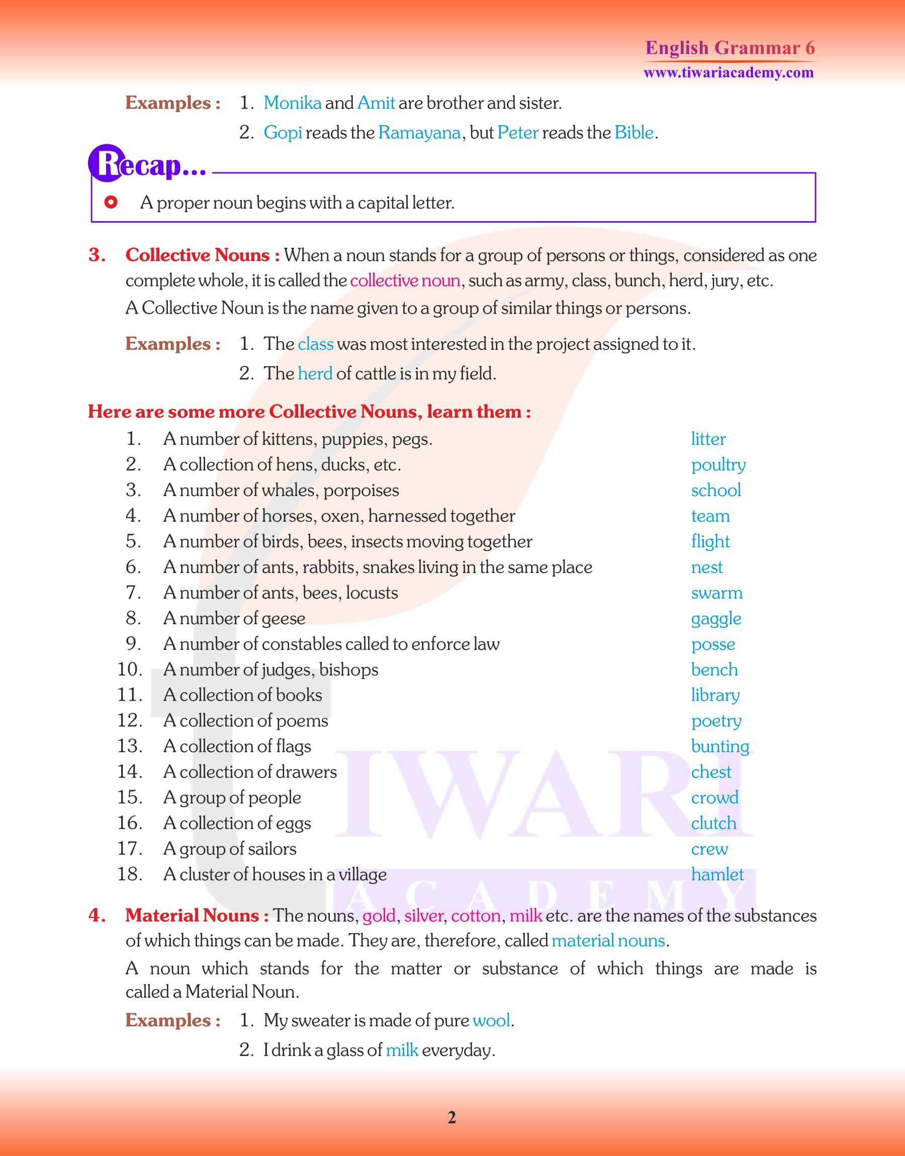 Class 6 Grammar Revision of Noun kinds