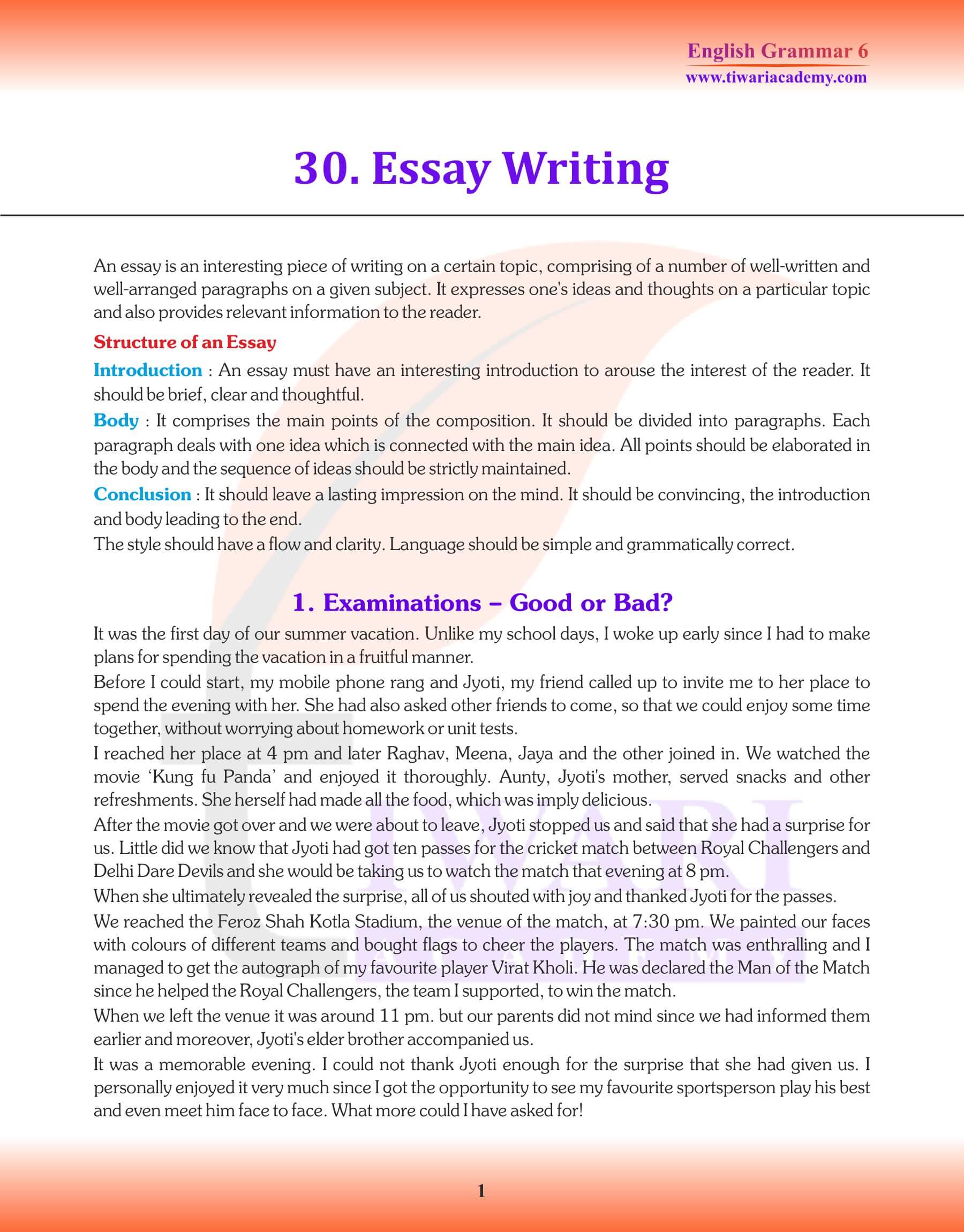 Class 6 Grammar Essay Writing Revision book