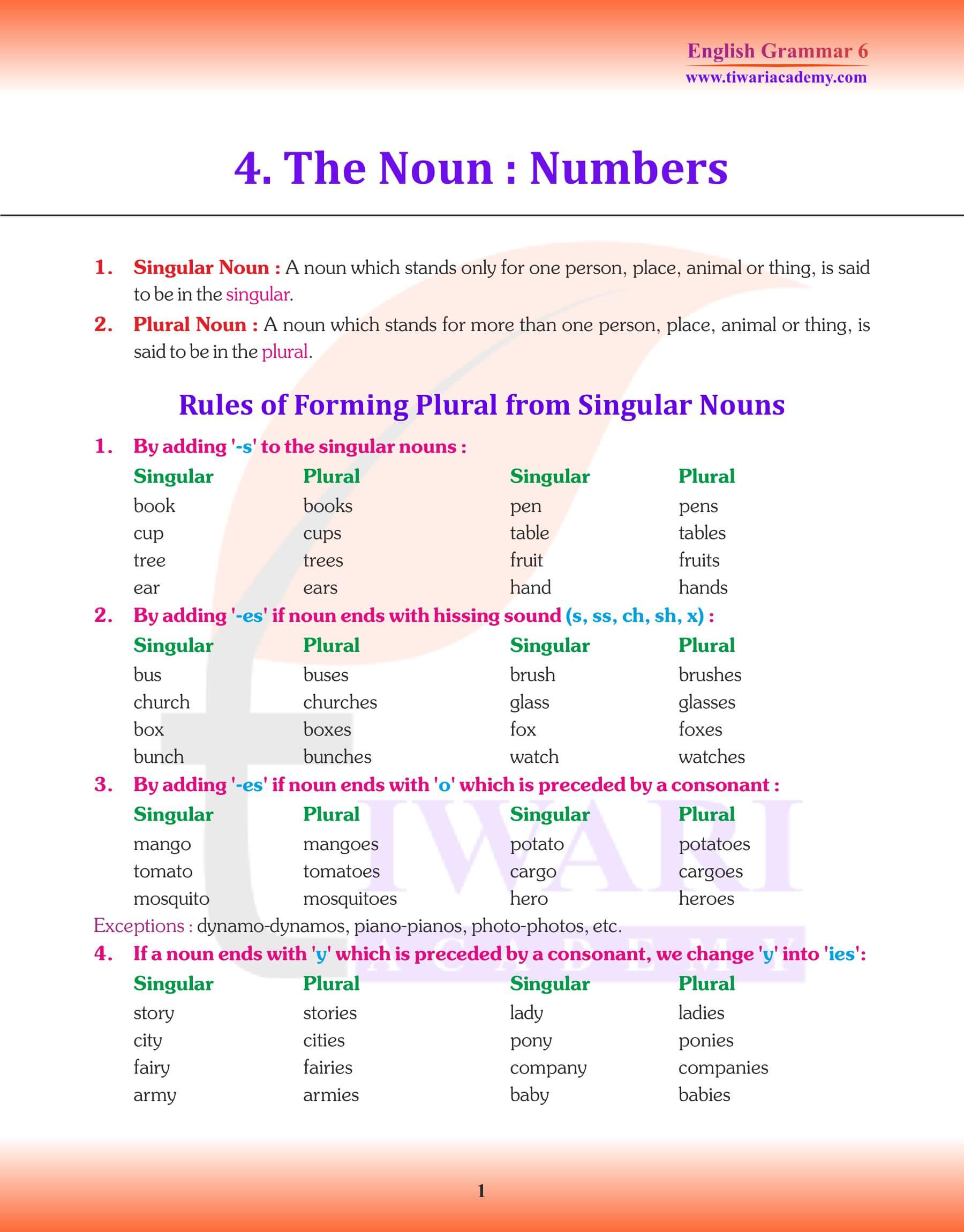 Class 6 English Grammar Chapter 4 Revision Notes