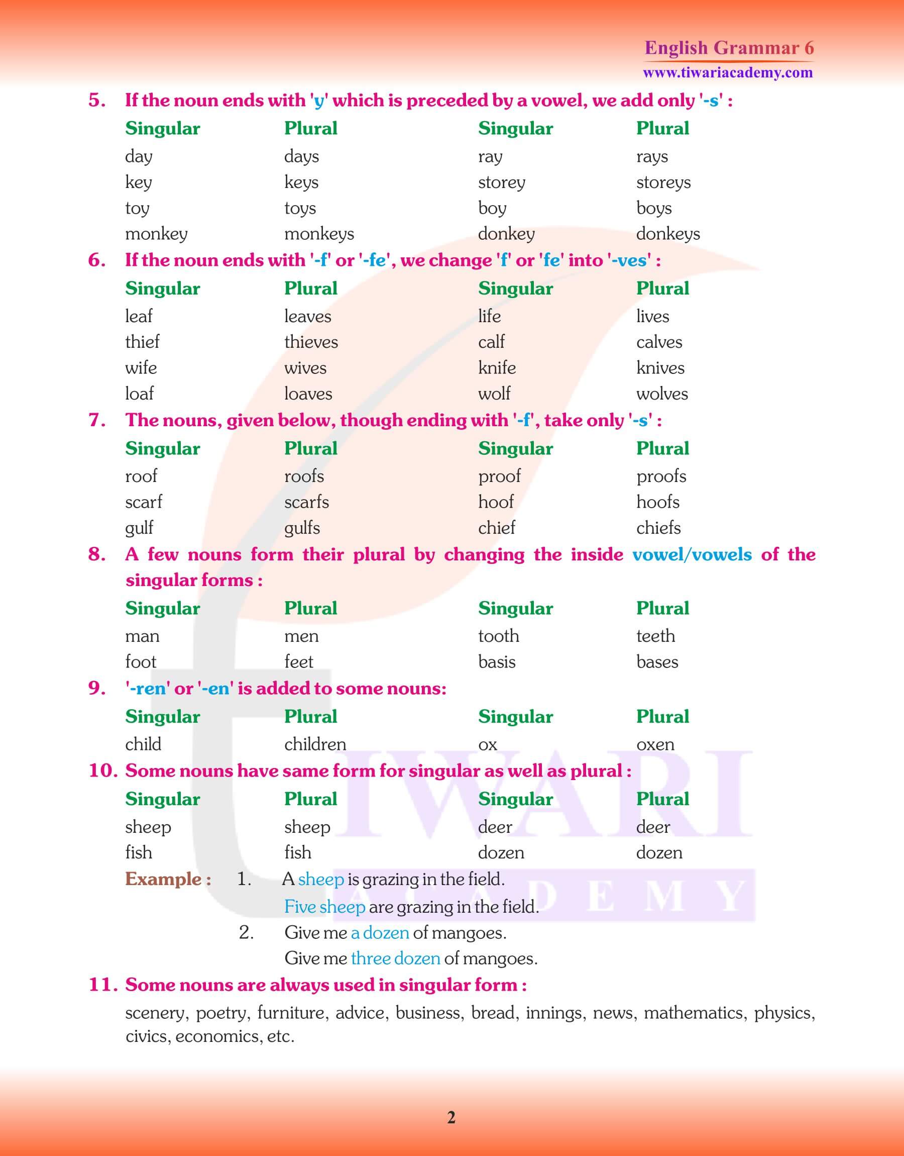 Class 6 English Grammar Chapter 4 Exercises