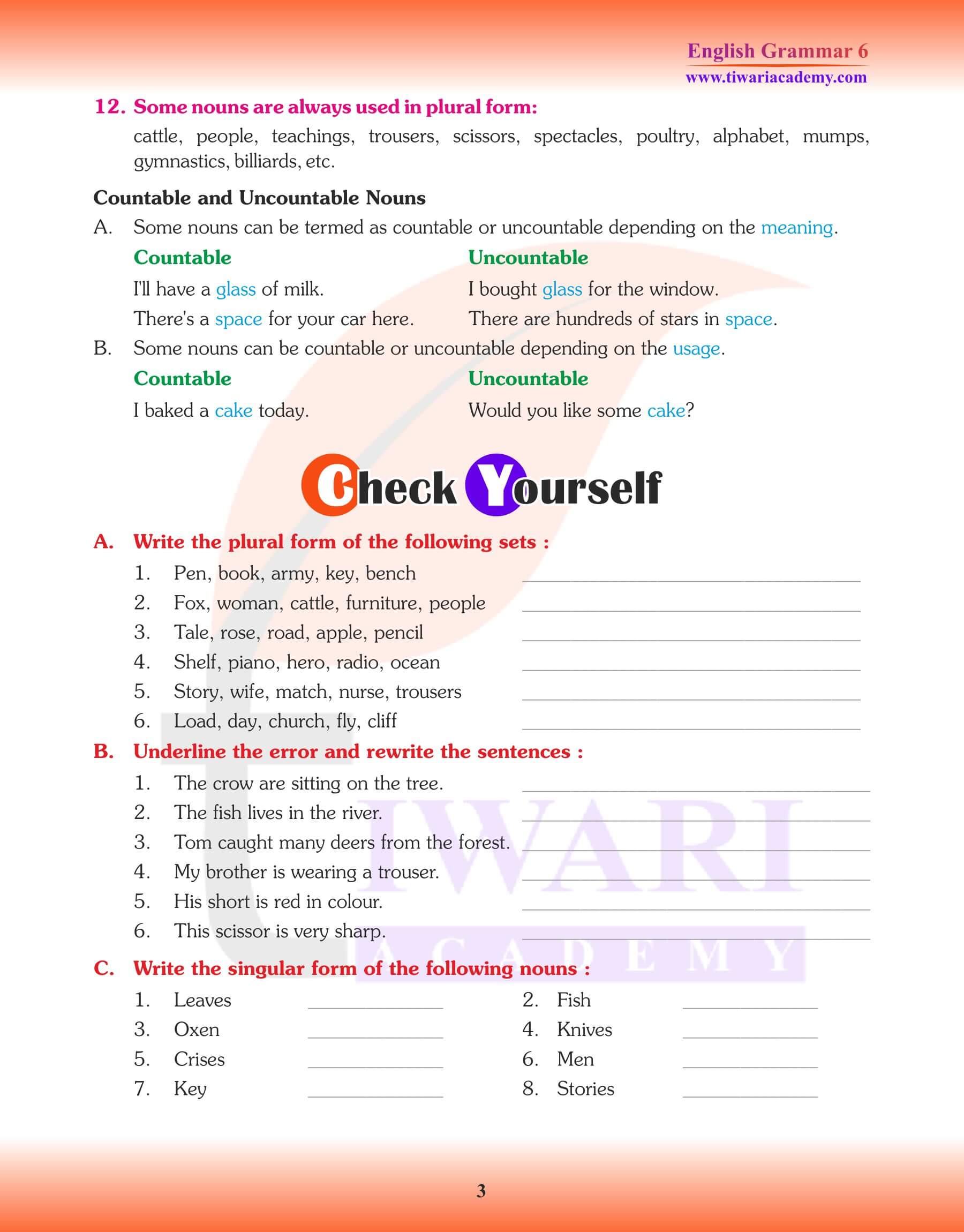 Class 6 English Grammar Chapter 4 Practice Notes on Noun