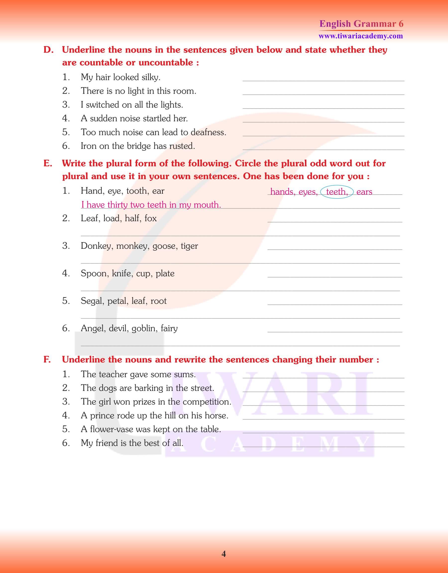 Class 6 English Grammar Chapter 4 Worksheets on Noun