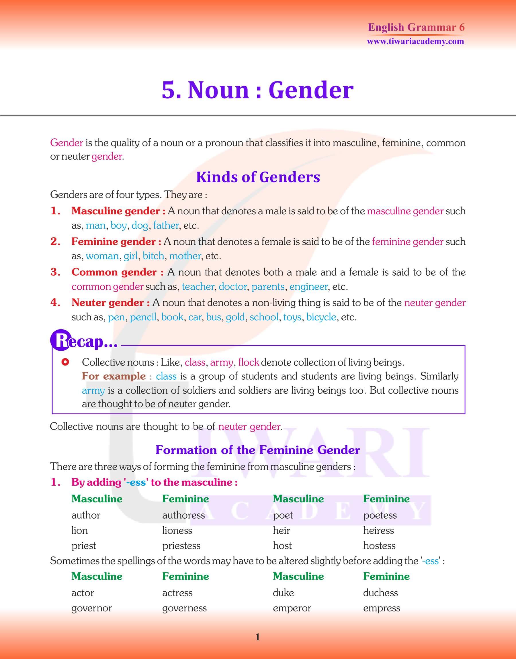 Class 6 English Grammar Noun Genders Revision Notes