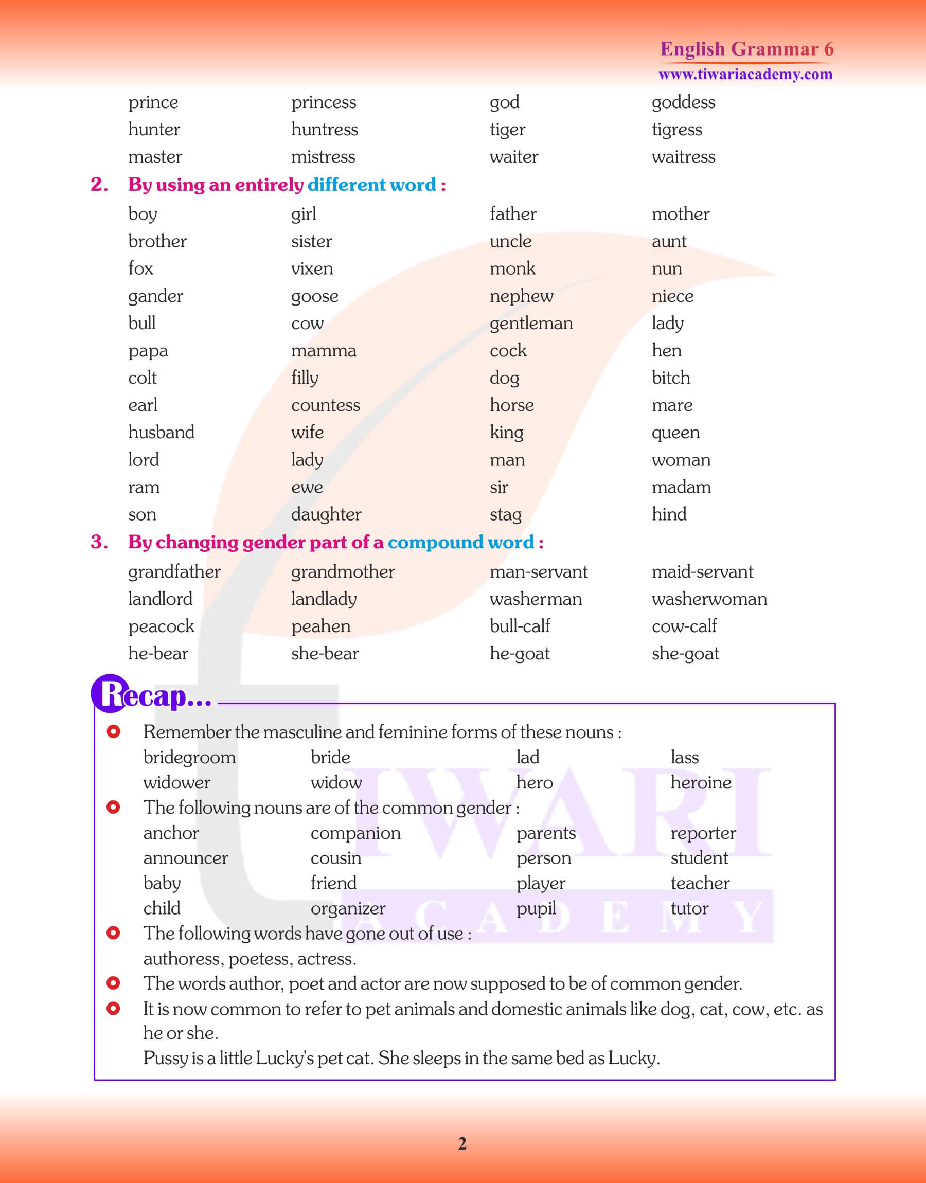 Class 6 Grammar Noun Genders Study Material