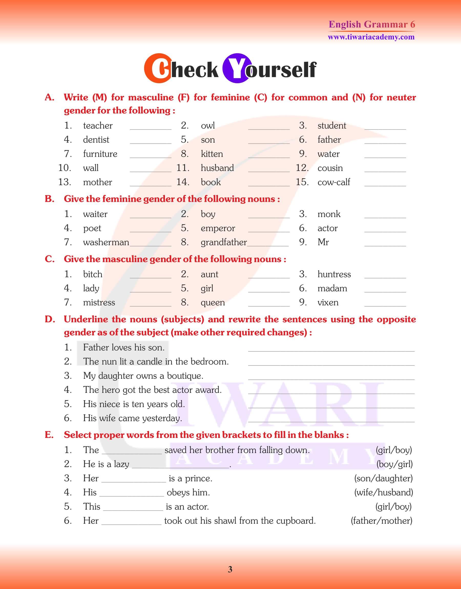 Class 6 Grammar Noun Genders Exercises