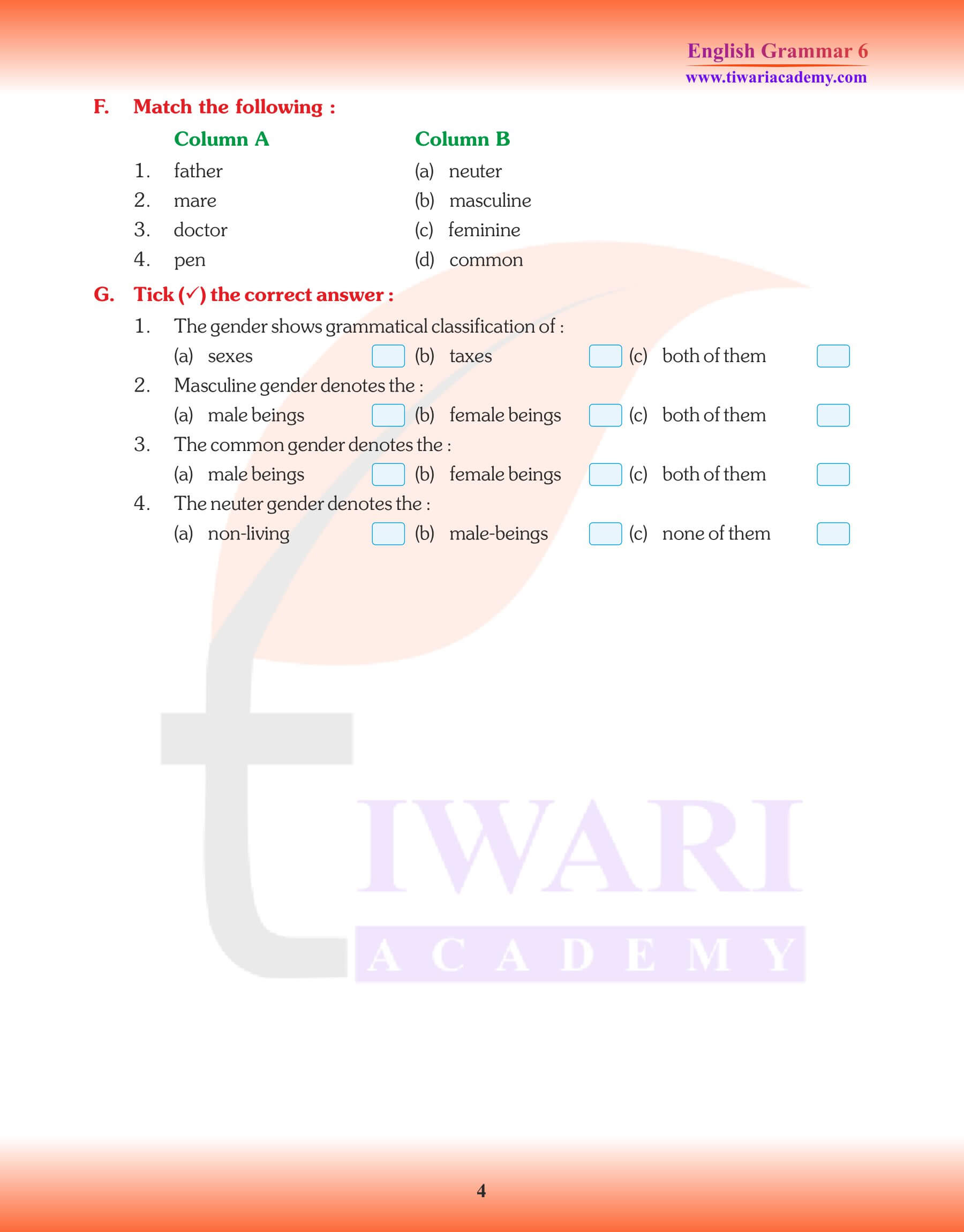 Class 6 Grammar Noun Genders Worksheets