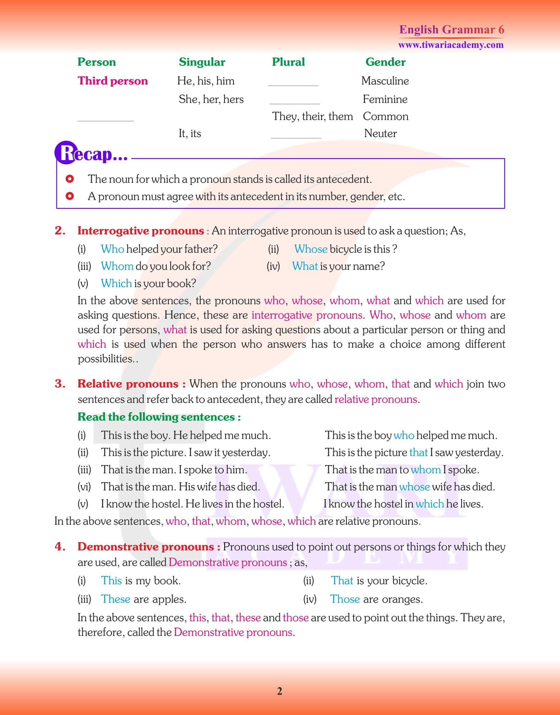 Class 6 English Grammar Kinds of Pronoun