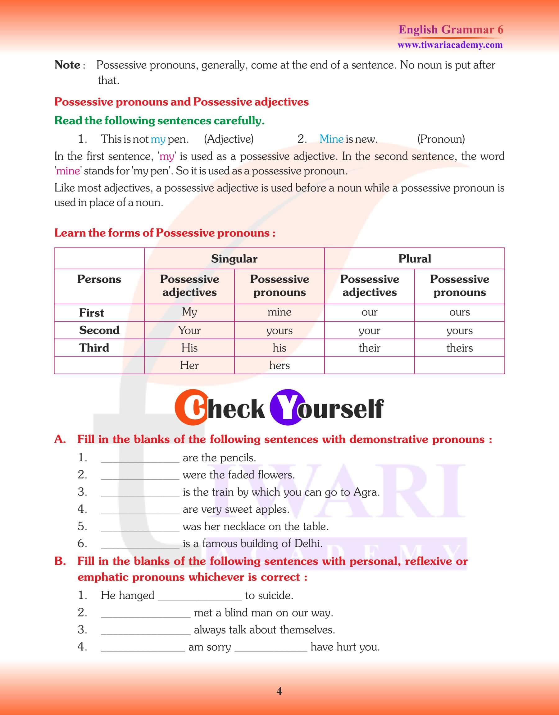 Class 6 English Grammar Pronoun Exercises