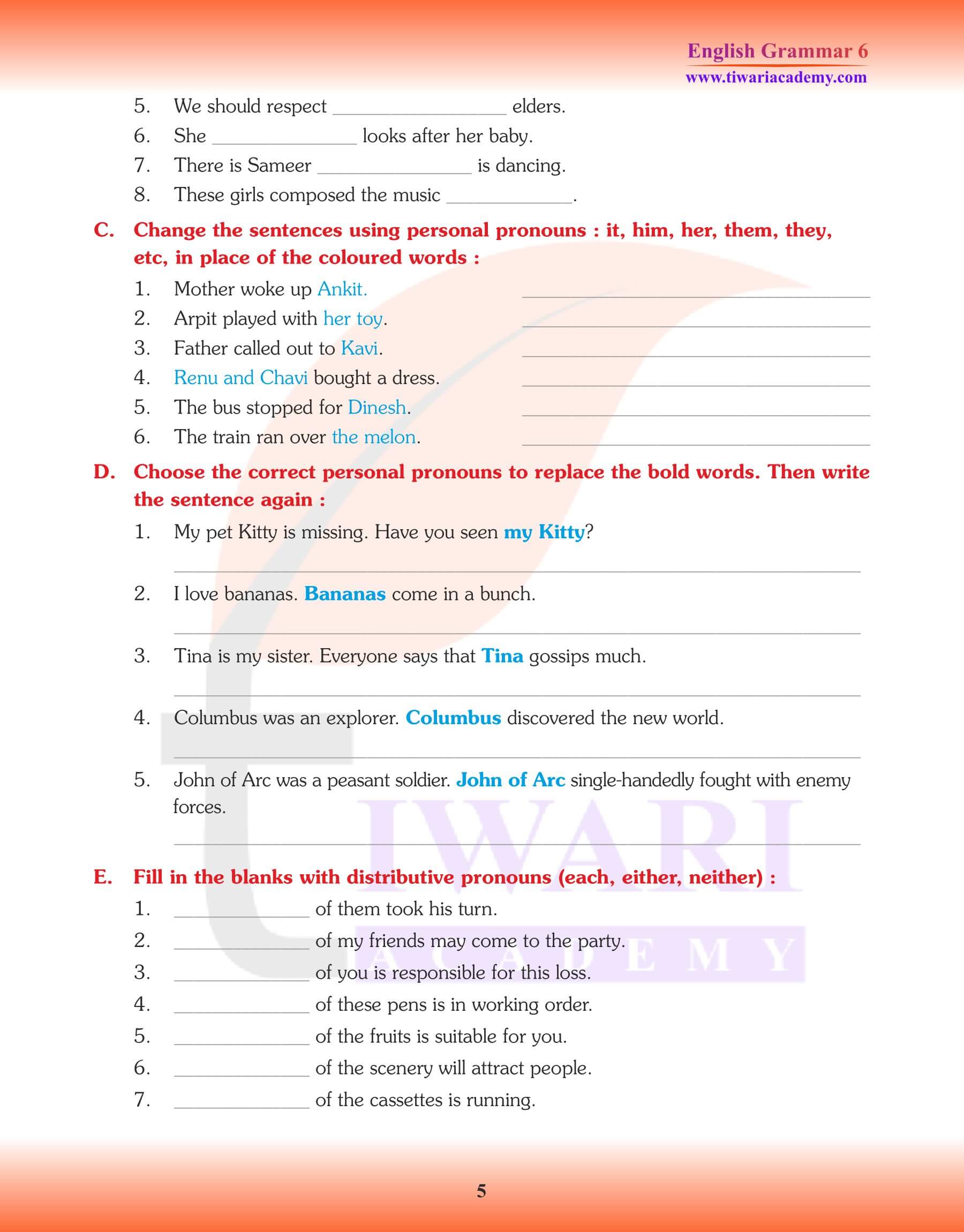 Class 6 English Grammar Pronoun Assignments