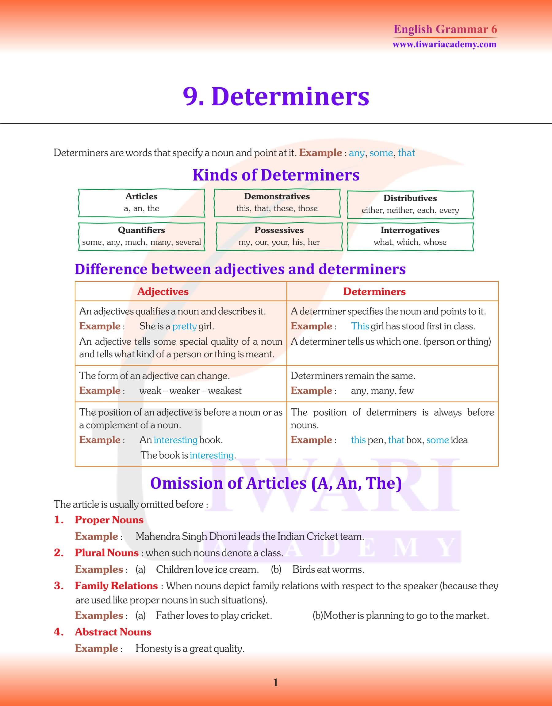 Class 6 Grammar Determiners Revision Book