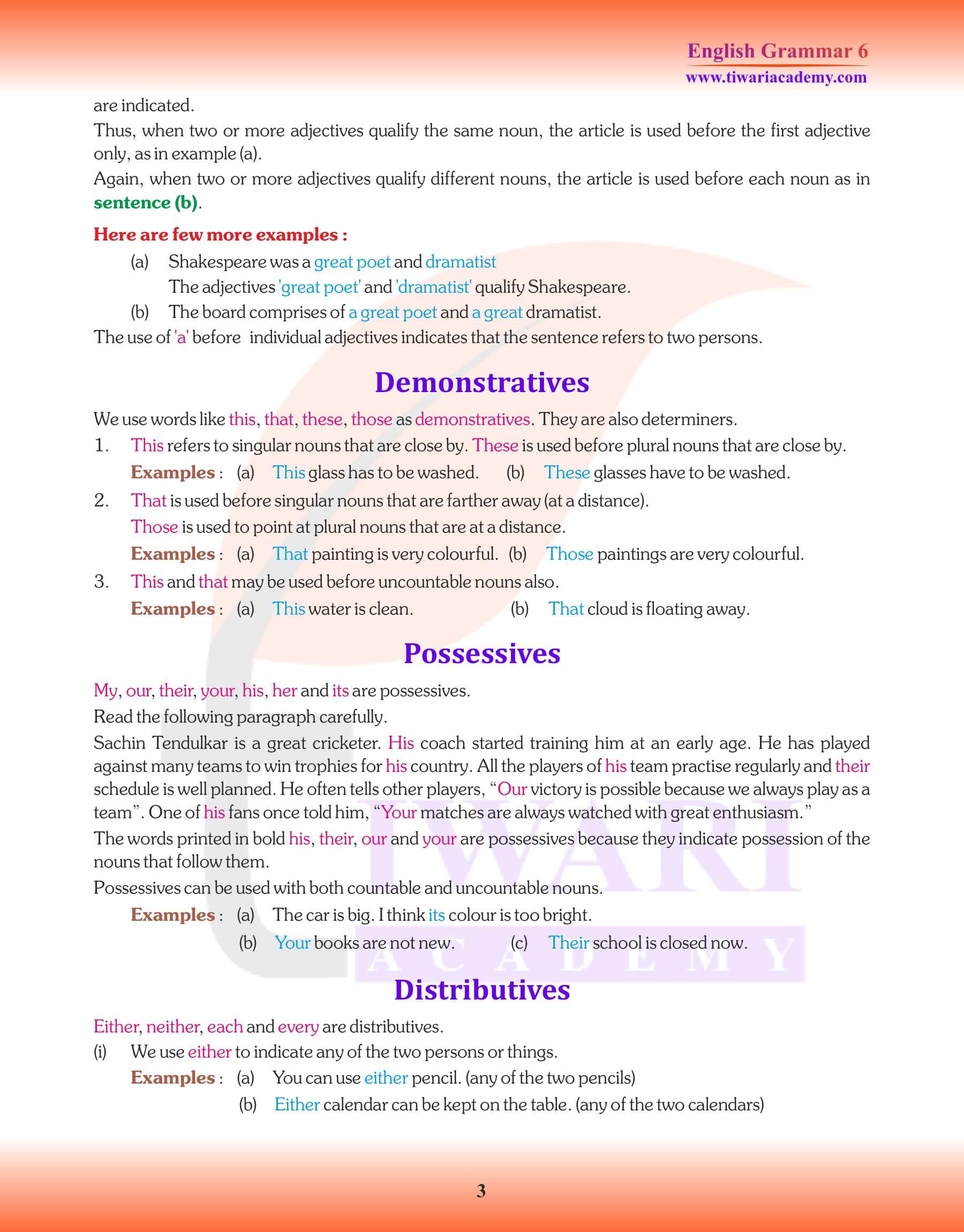 Class 6 Grammar Determiners Assignments