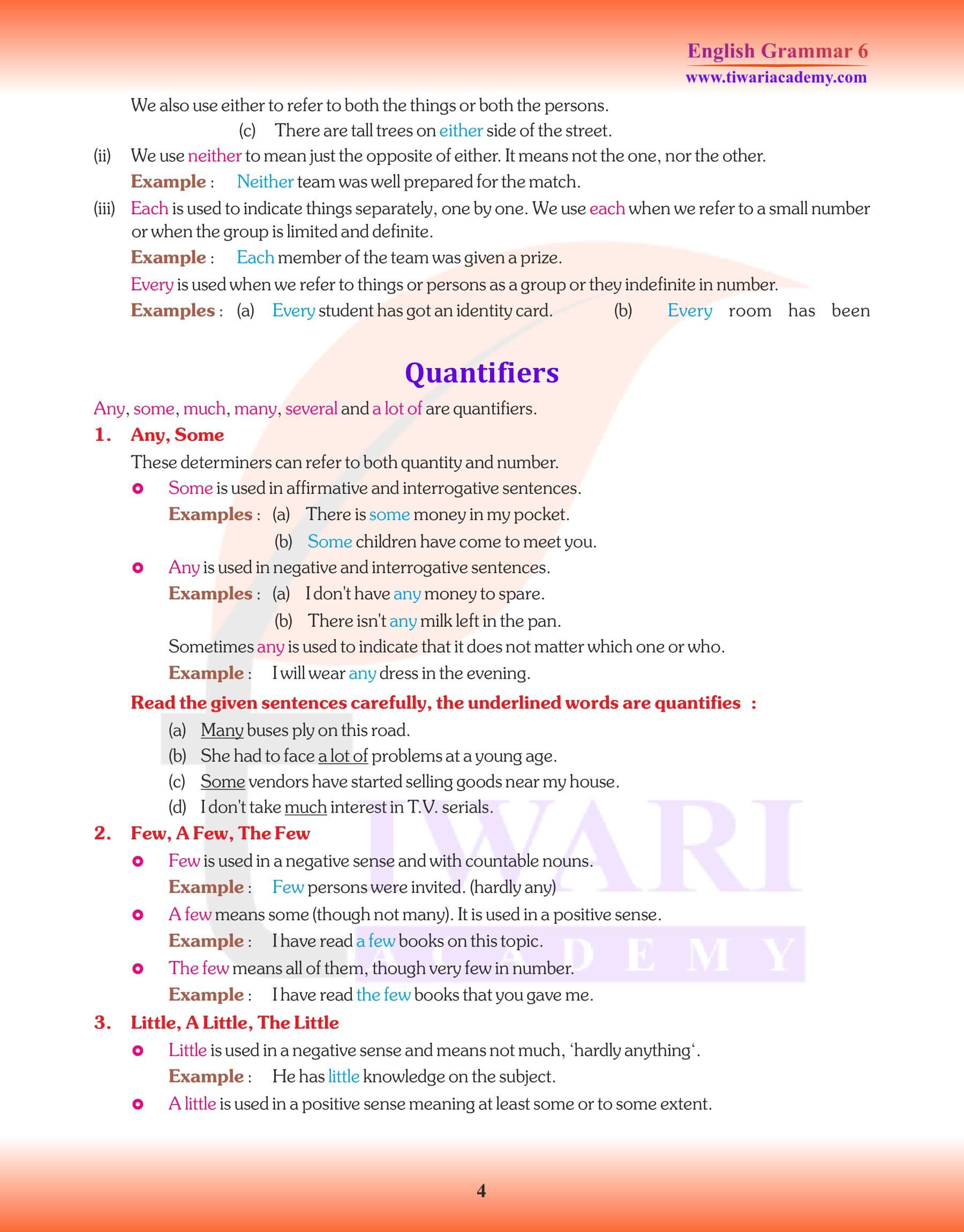 Class 6 Grammar Determiners Practice book